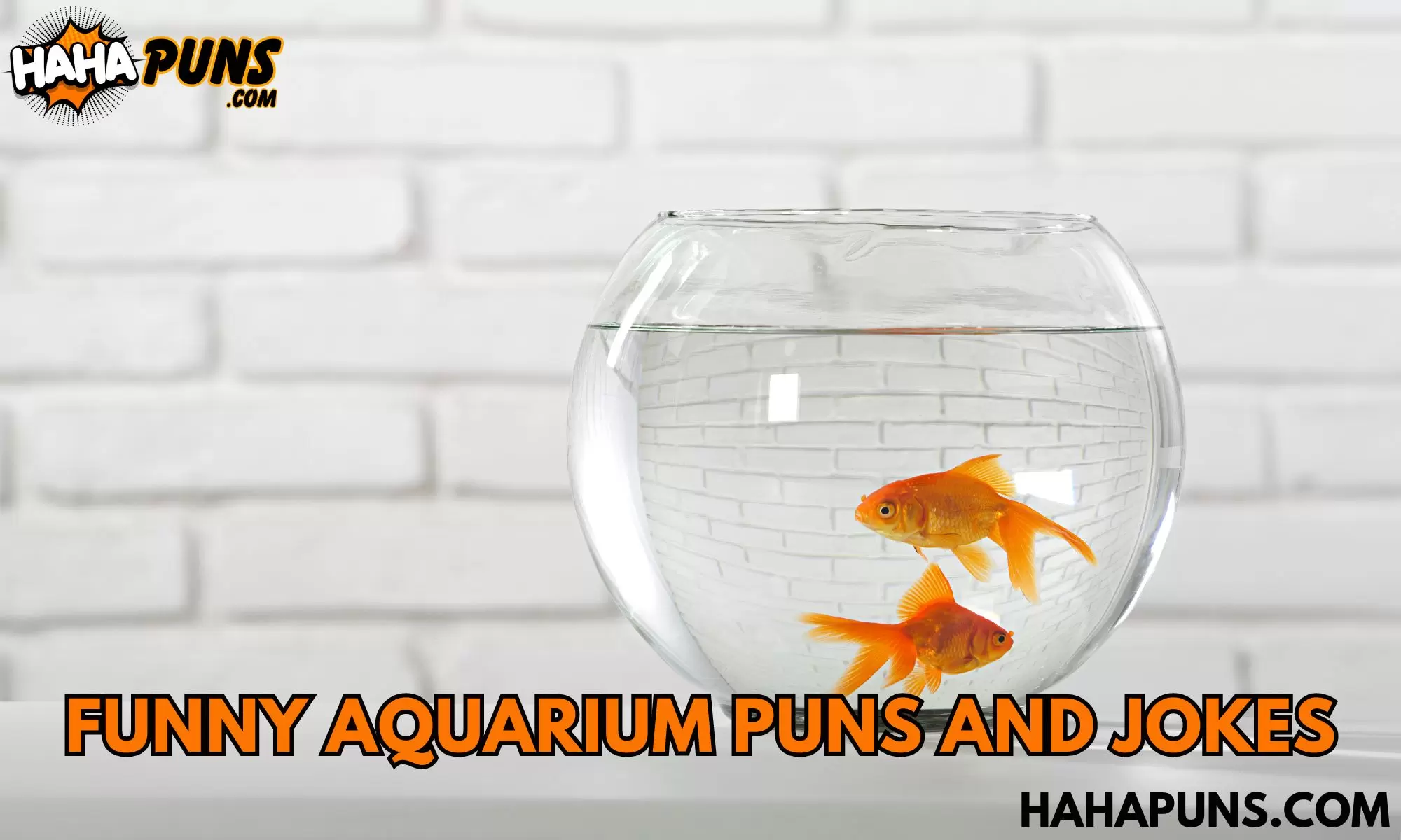 Funny Aquarium Puns And Jokes