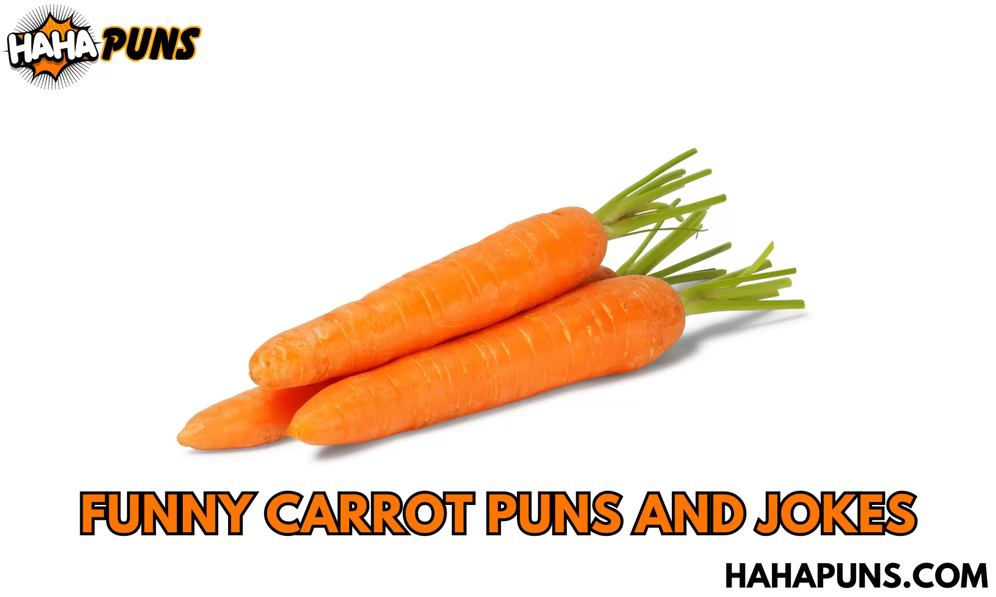 Funny Carrot Puns And Jokes