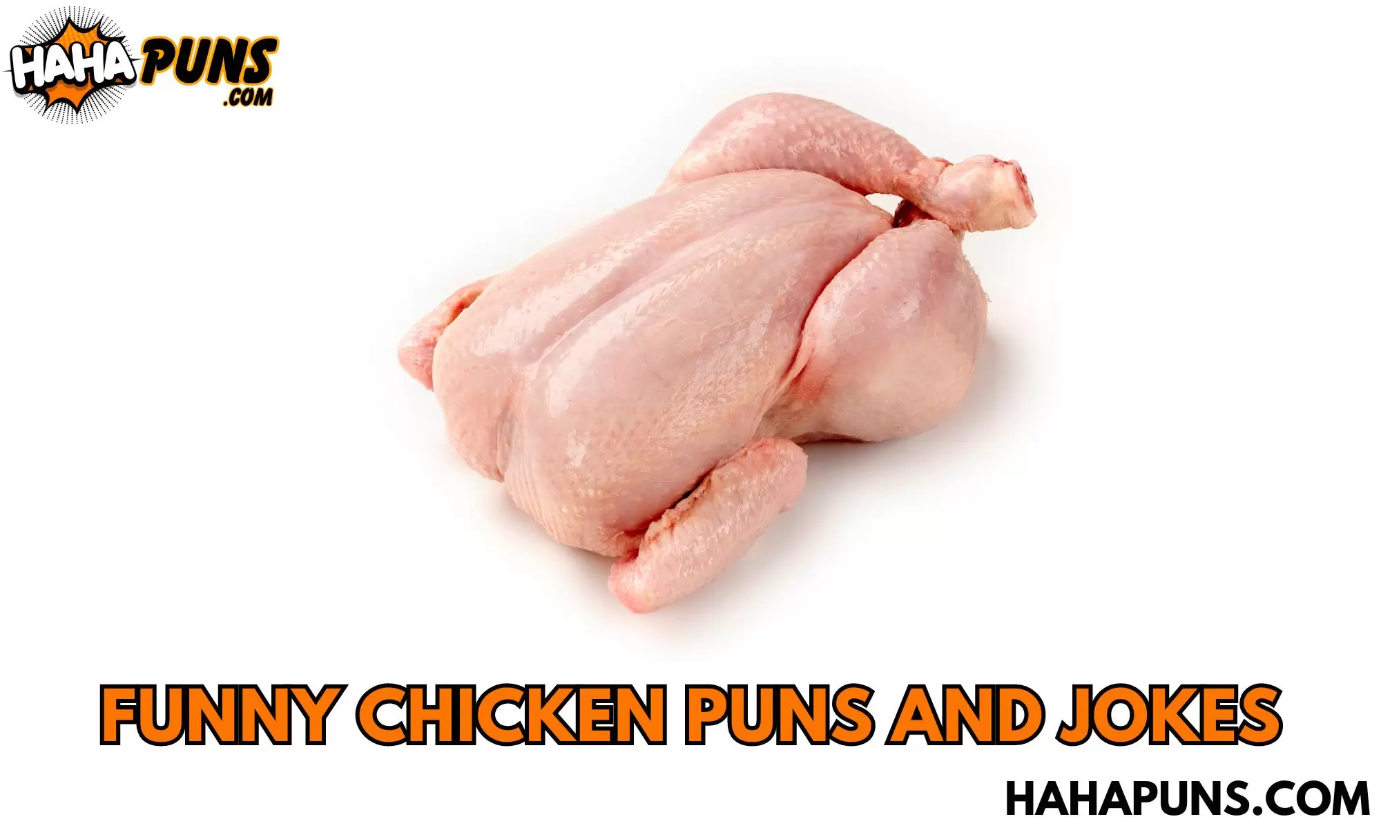 Funny Chicken Puns and Jokes