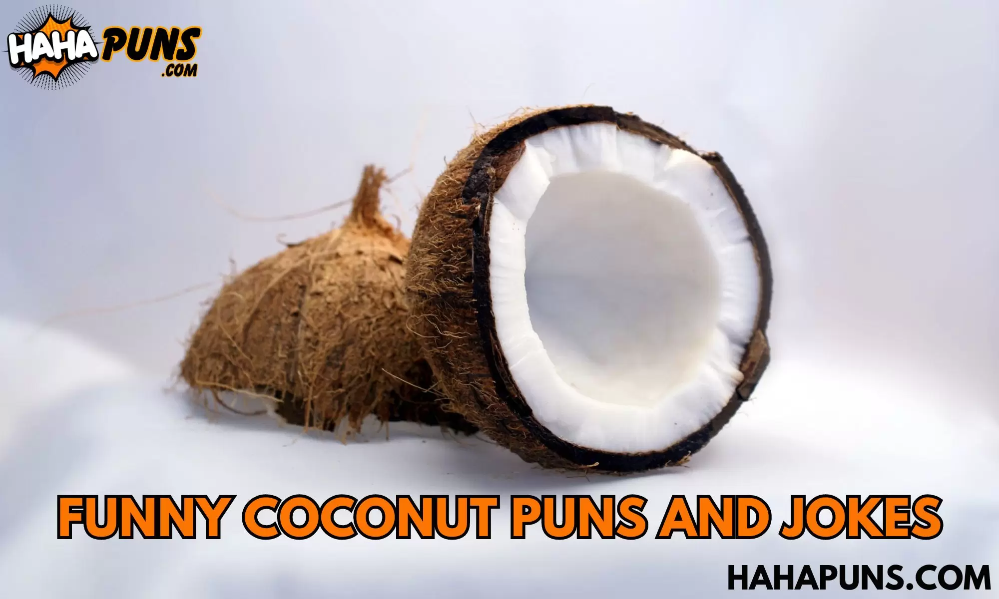 Funny Coconut Puns And Jokes