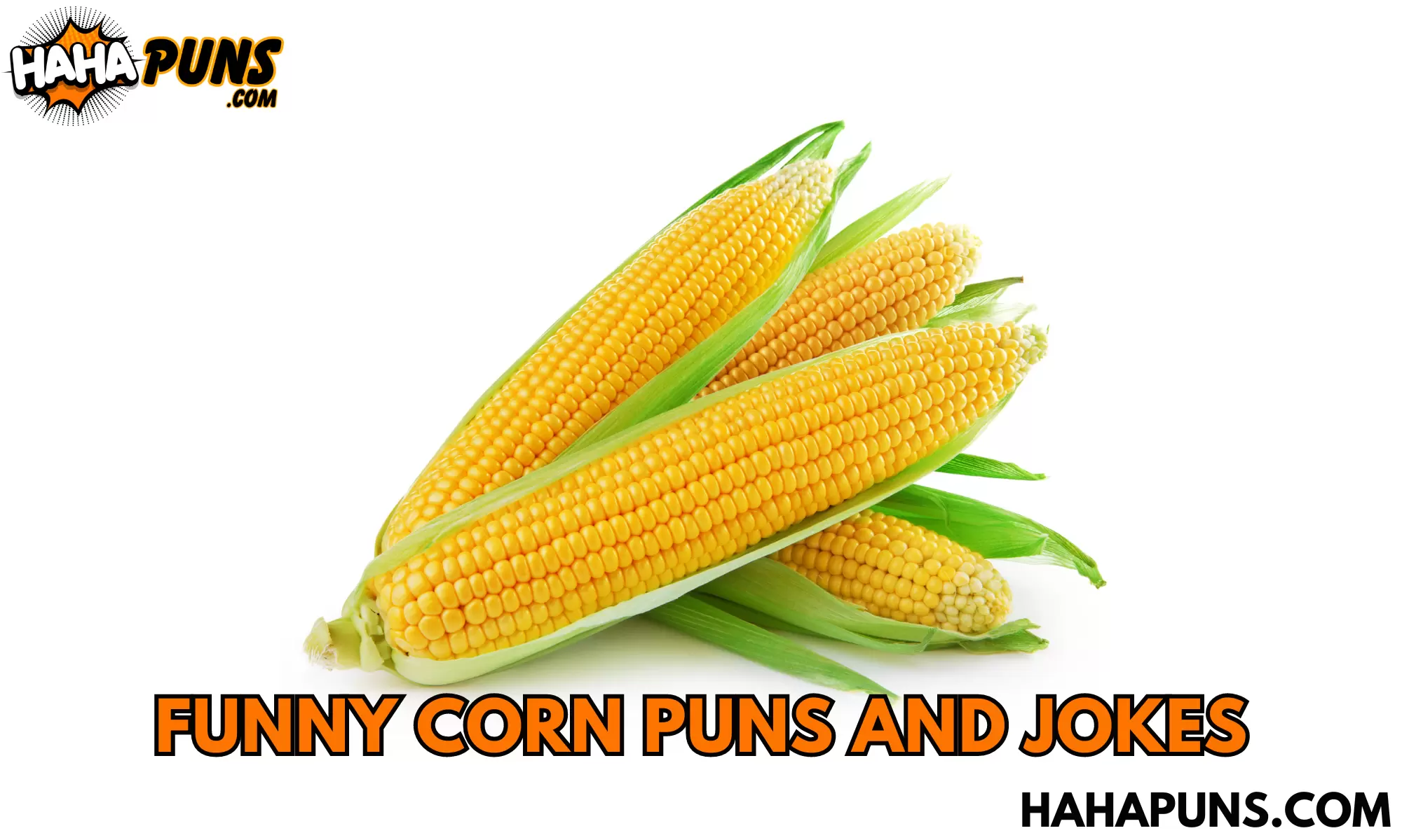 Funny Corn Puns And Jokes
