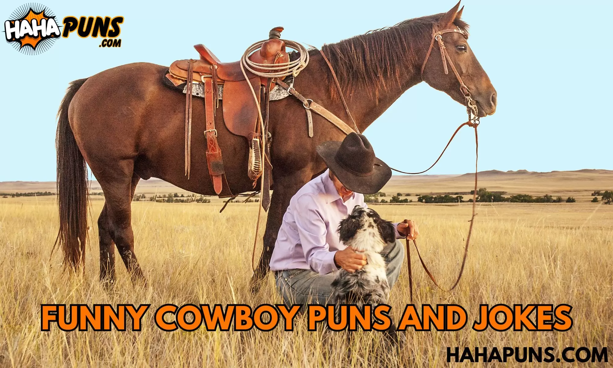 Funny Cowboy Puns And Jokes