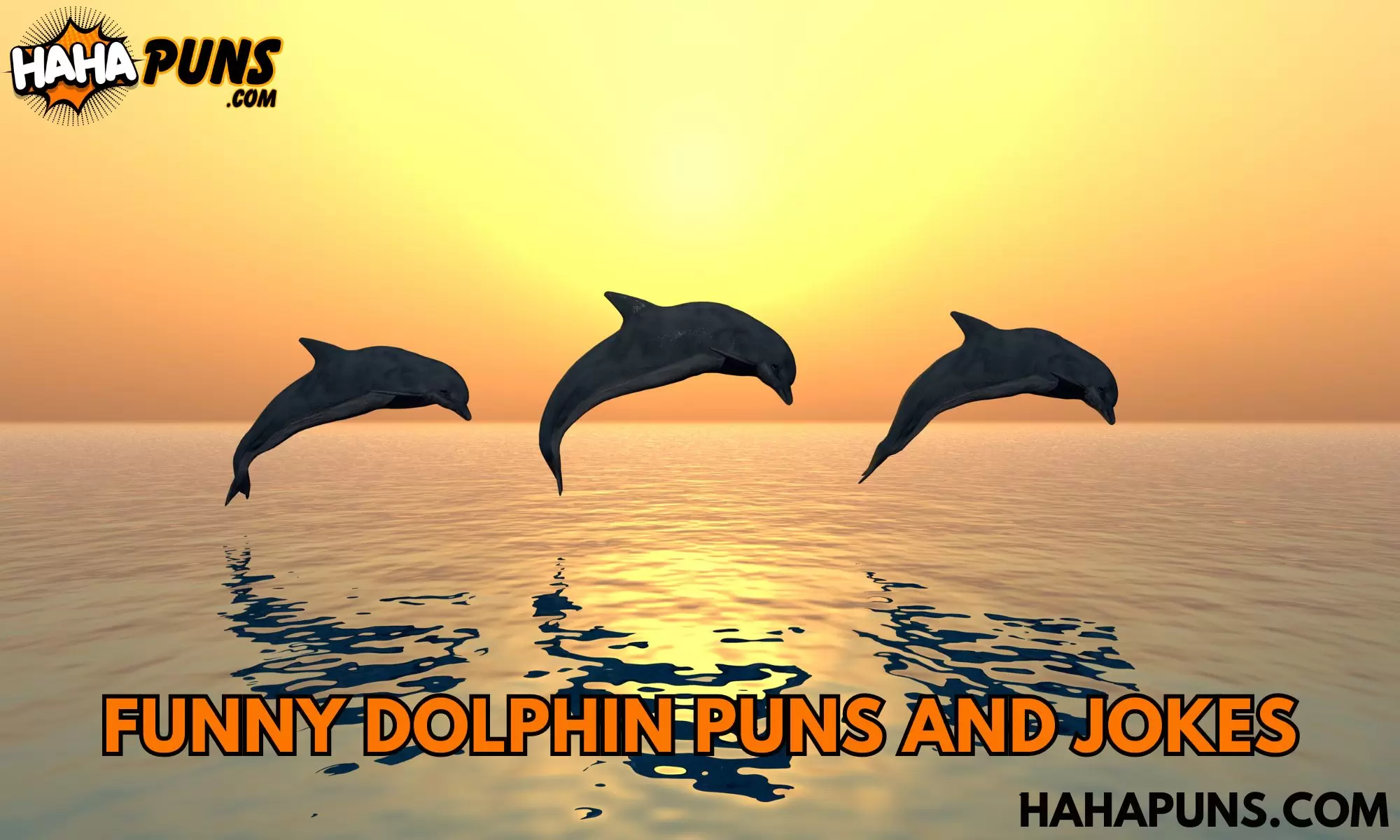 Funny Dolphin Puns And Jokes