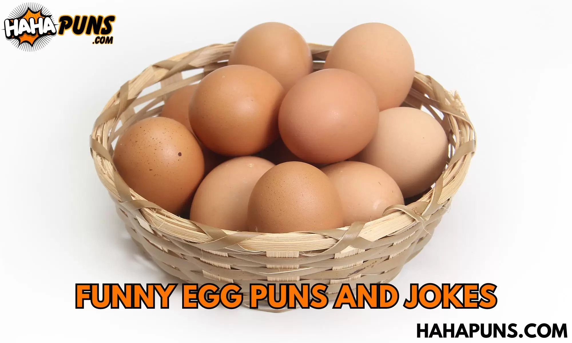 Funny Egg Puns and Jokes