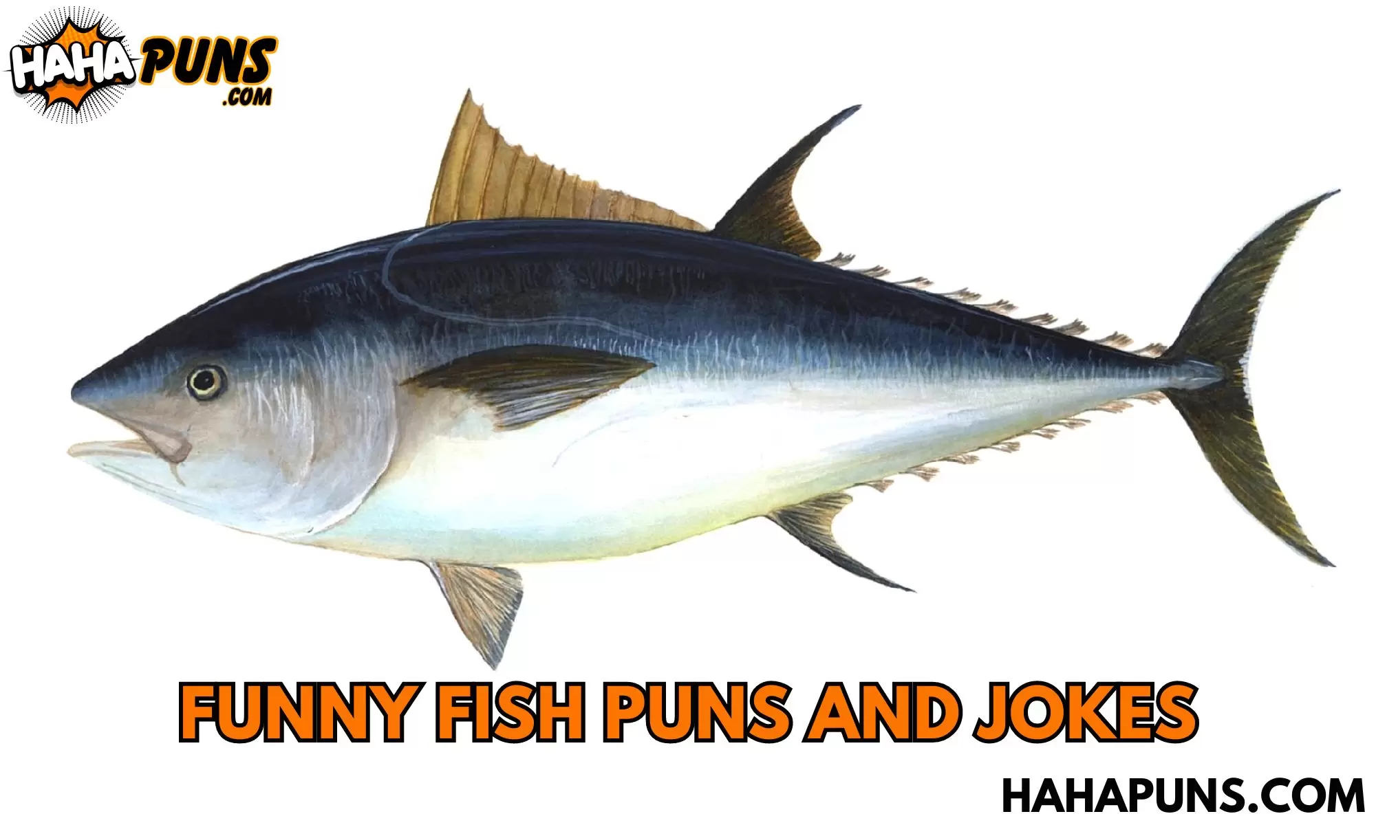 Funny Fish Puns and Jokes