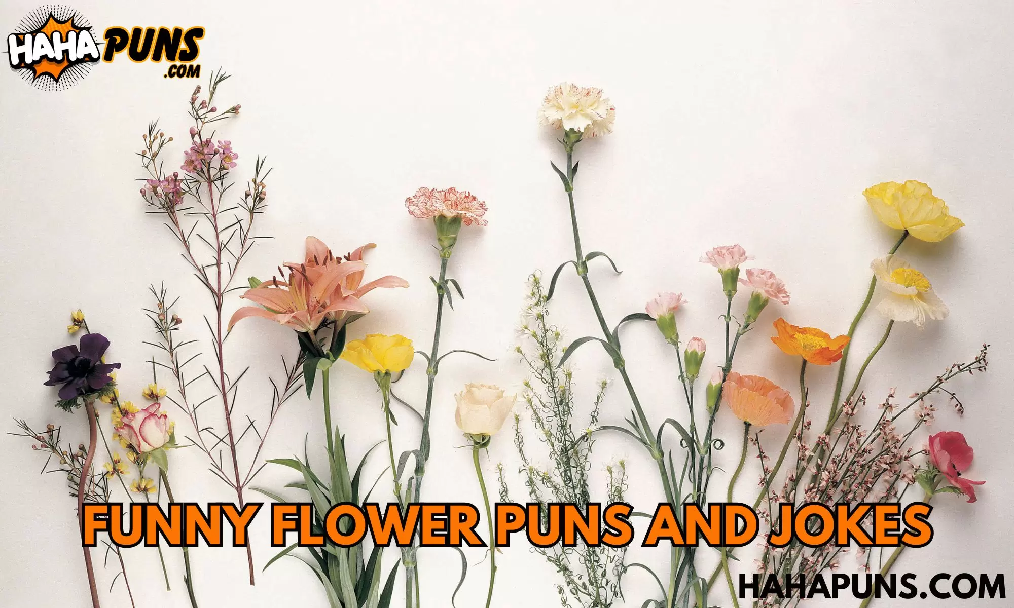 220+ Funny Flower Puns and Jokes to Make You Bloom