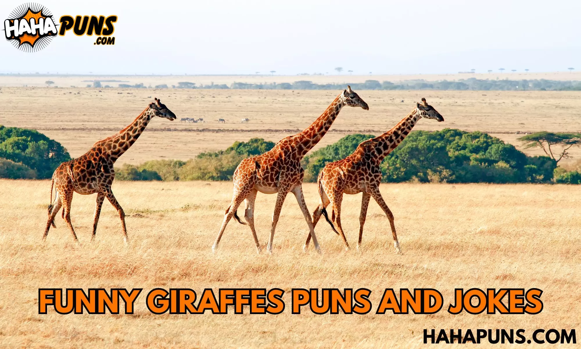 Funny Giraffes Puns and Jokes