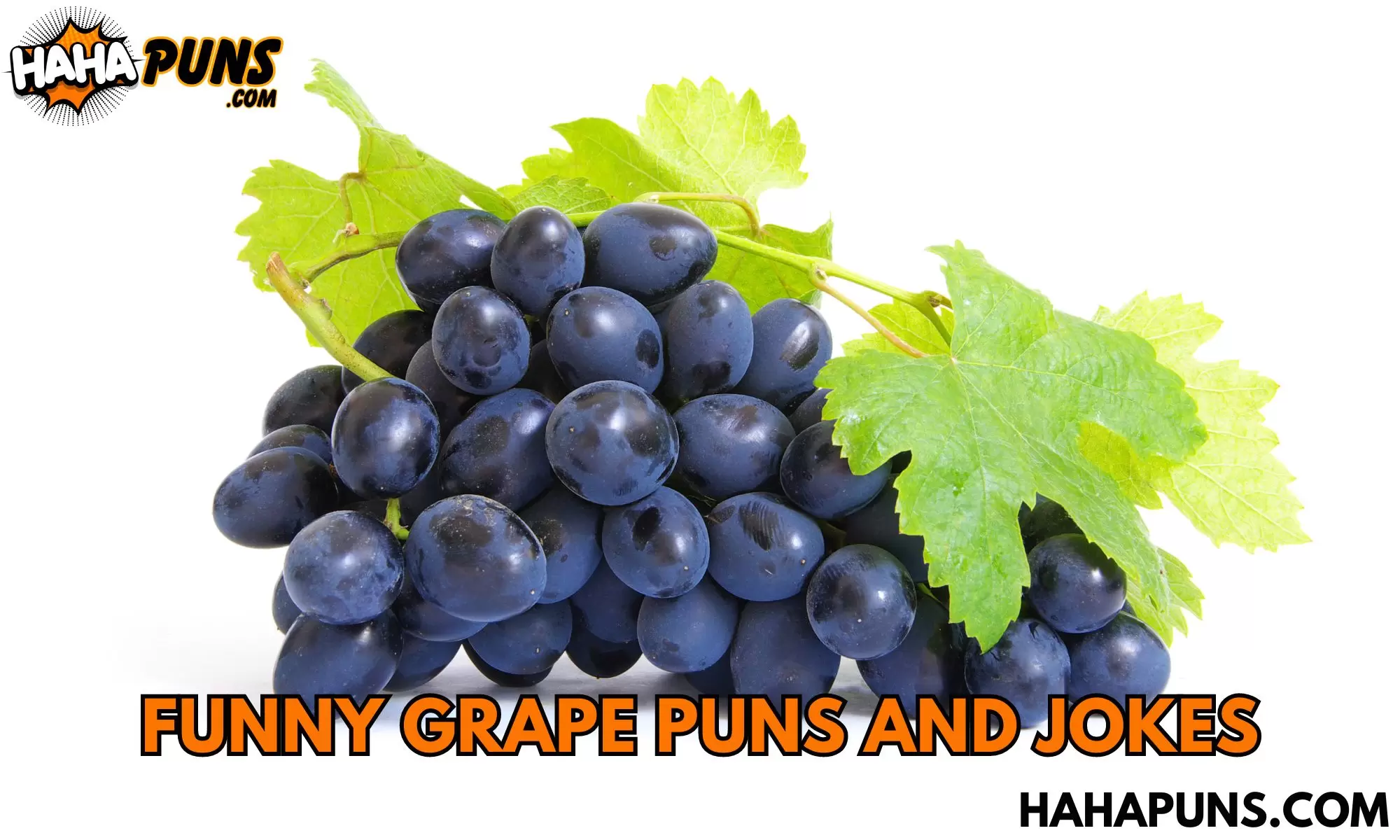 Funny Grape Puns And Jokes