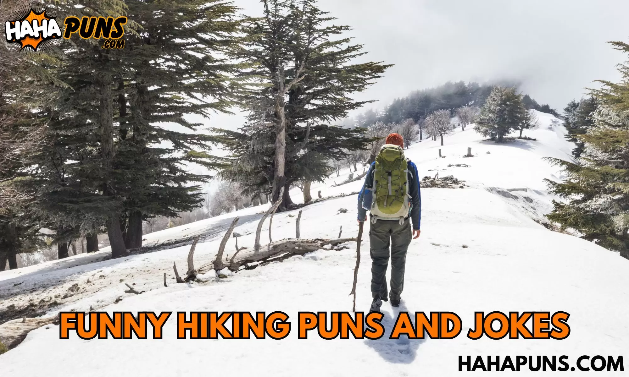 Funny Hiking Puns And Jokes