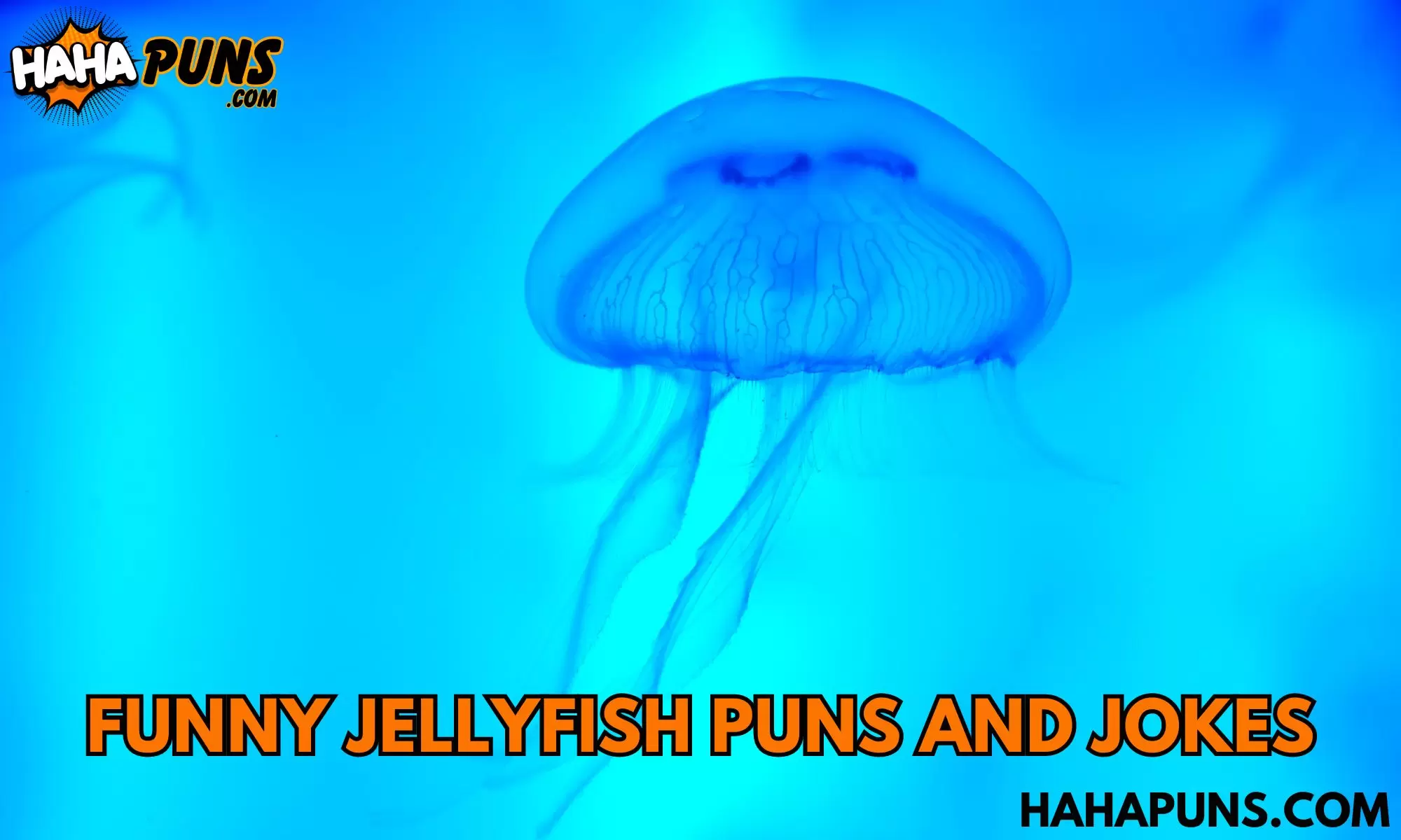 150+ Funny Jellyfish Puns And Jokes