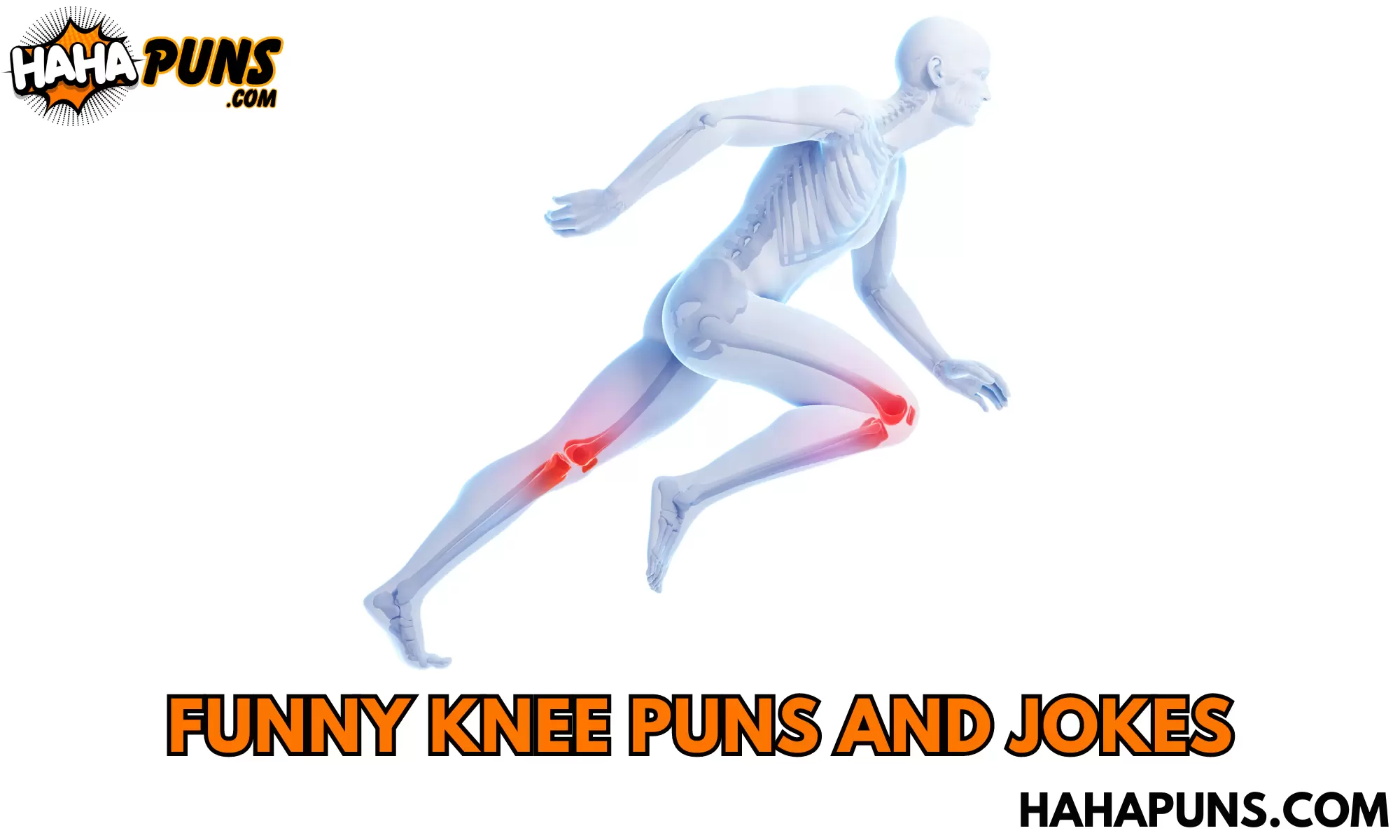 Funny Knee Puns And Jokes