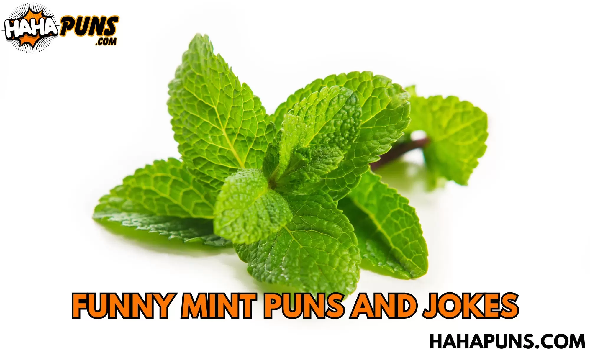 Funny Mint Puns And Jokes
