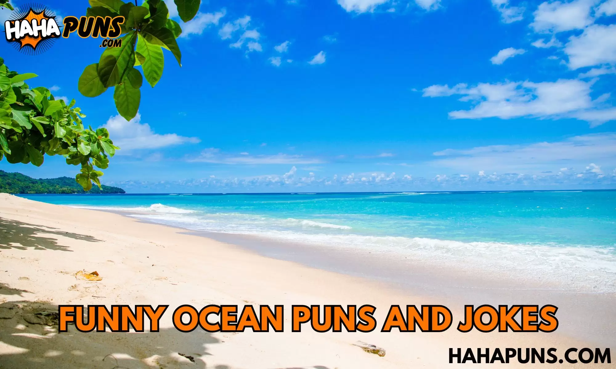 Funny Ocean Puns And Jokes