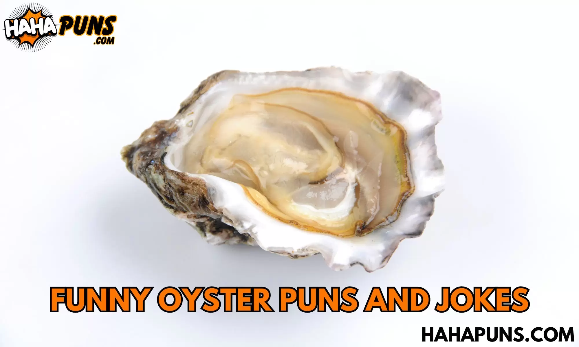Funny Oyster Puns and Jokes