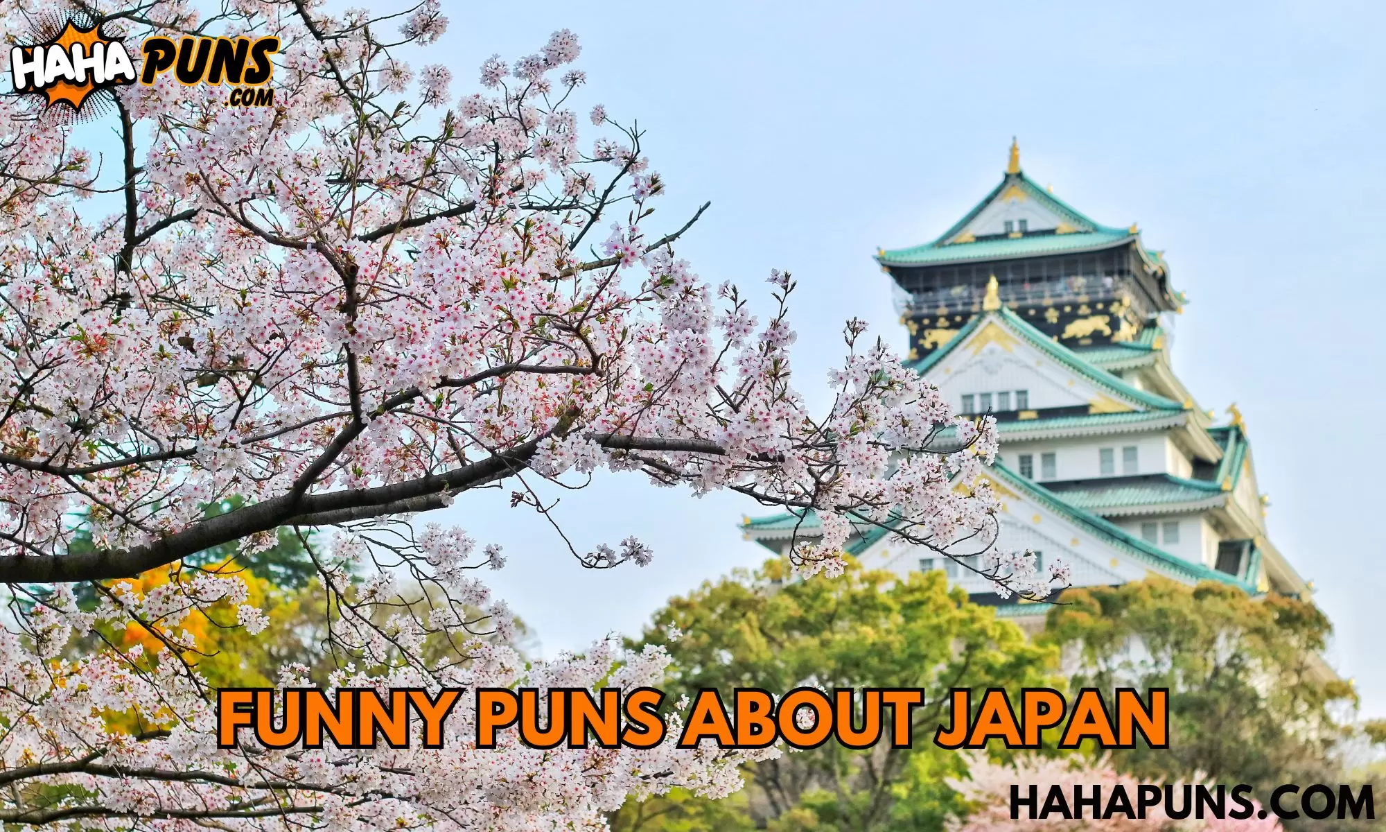 Funny Puns About Japan