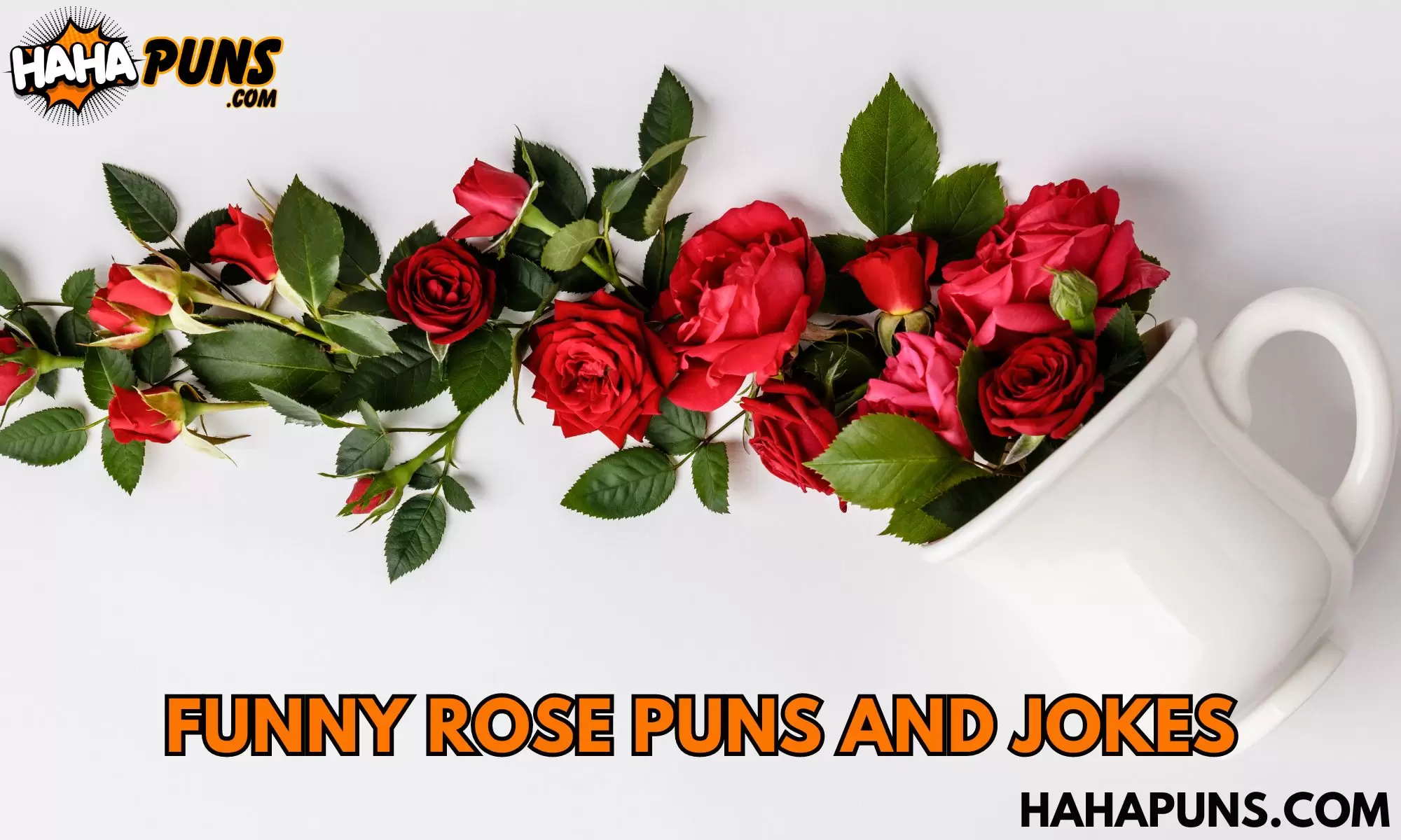 Funny Rose Puns And Jokes