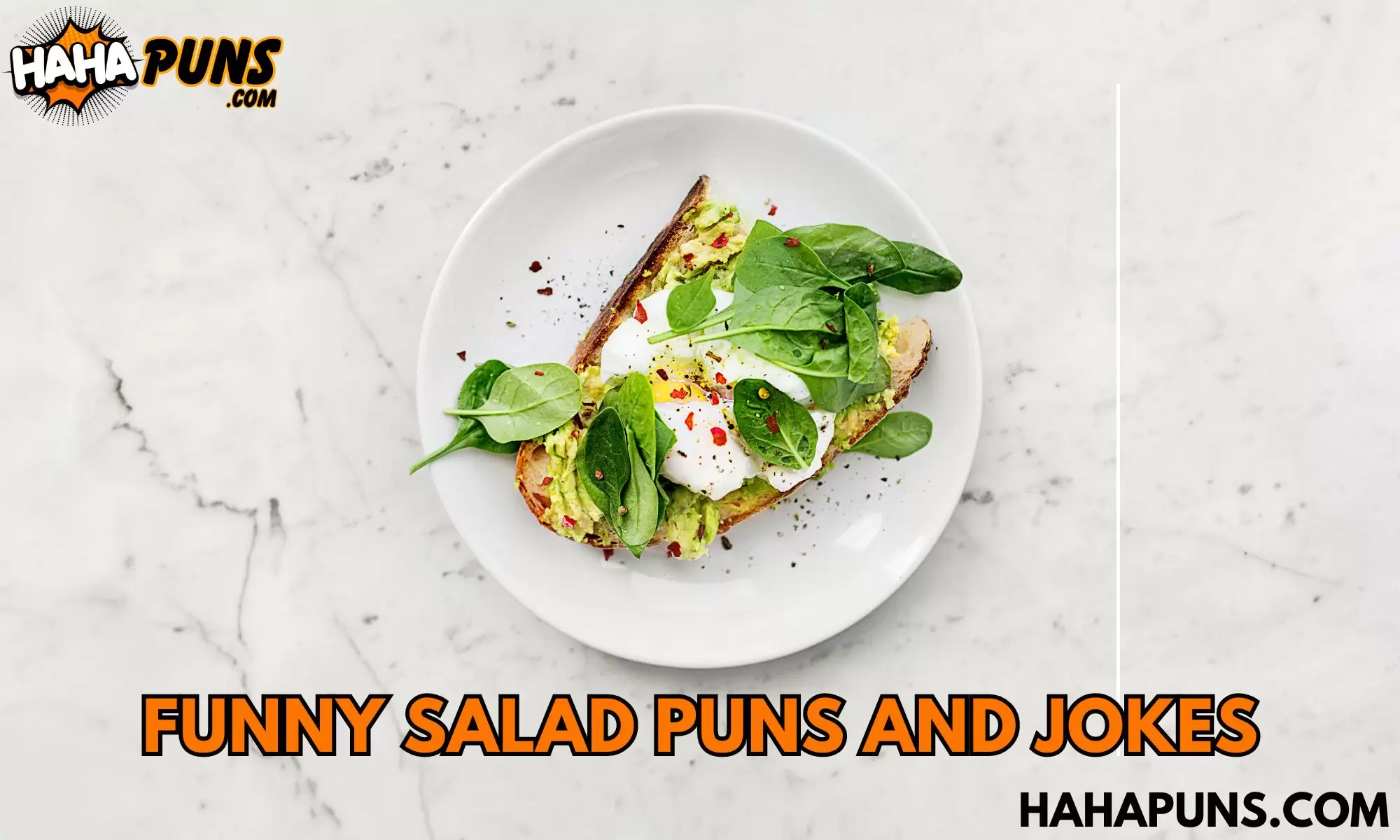 Funny Salad Puns and Jokes