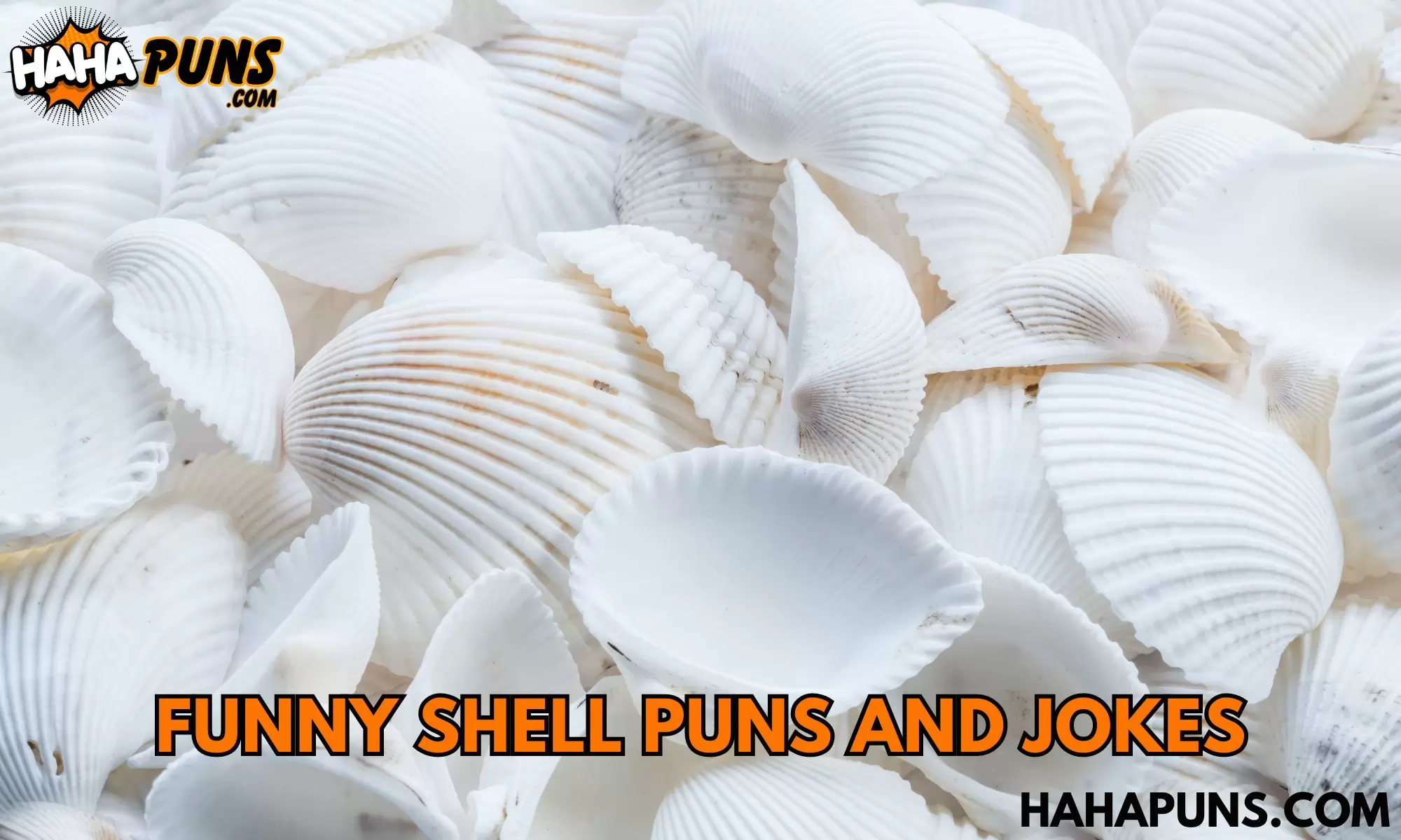 Funny Shell Puns And Jokes