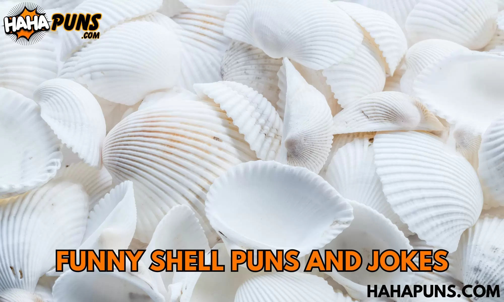 175+ Funny Shell Puns And Jokes: Shell-tastic Humor