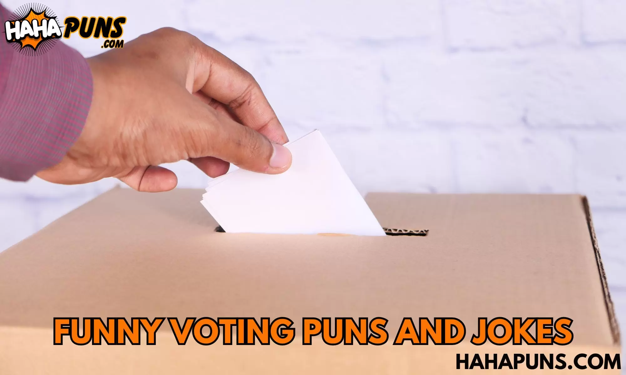 Funny Voting Puns And Jokes