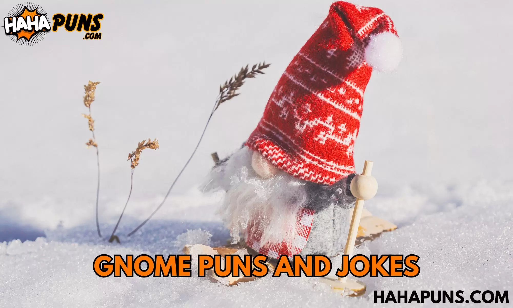 Gnome Puns and Jokes