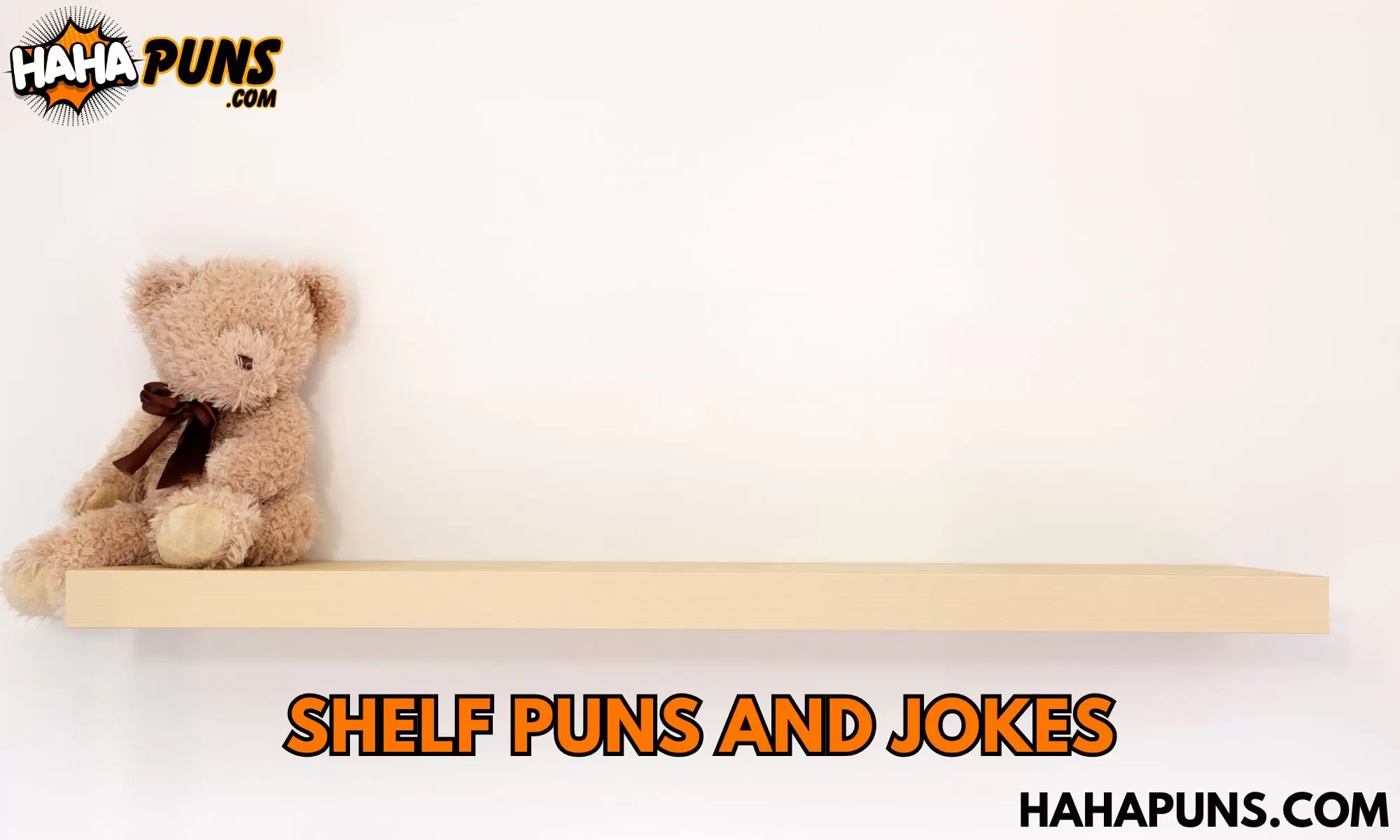Shelf Puns and Jokes