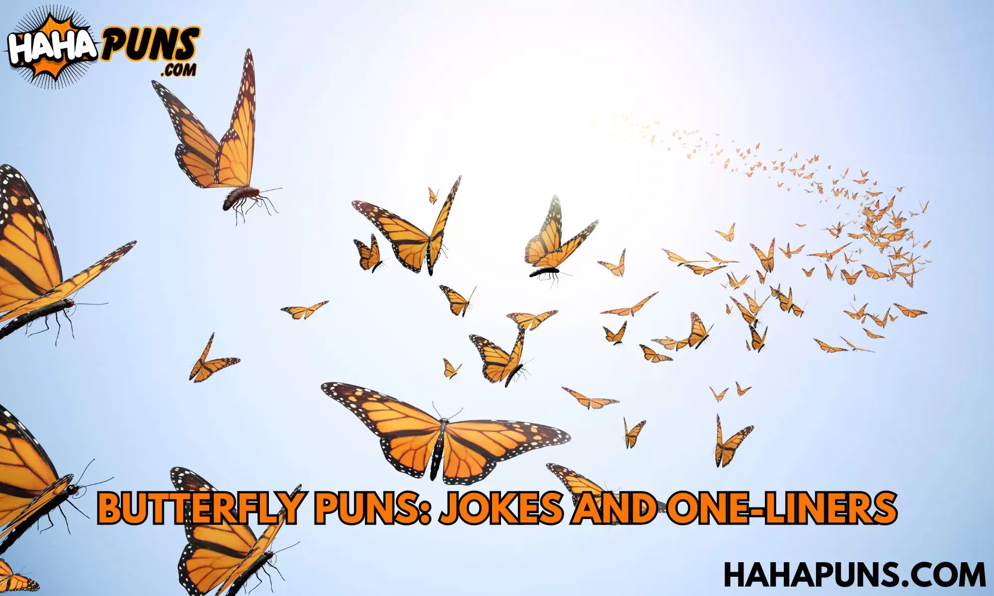 Butterfly Puns Jokes And One-Liners