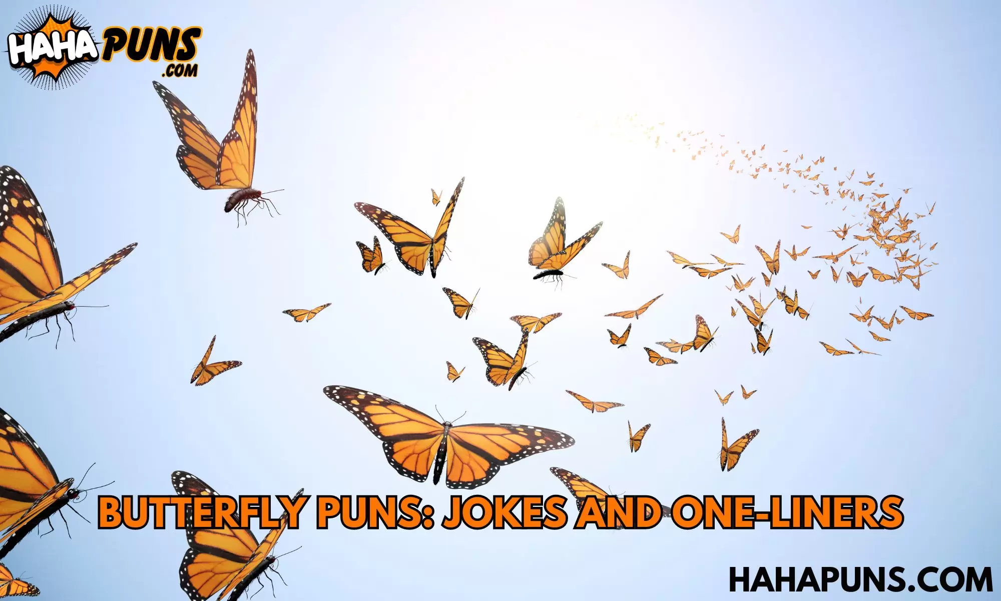 120+ Butterfly Puns: Jokes And One-Liners