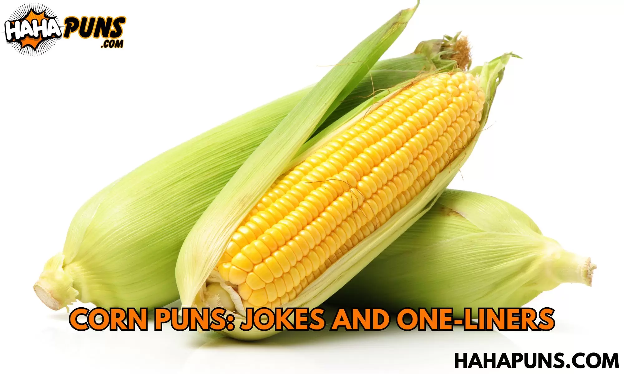 Corn Puns: Jokes And One-Liners