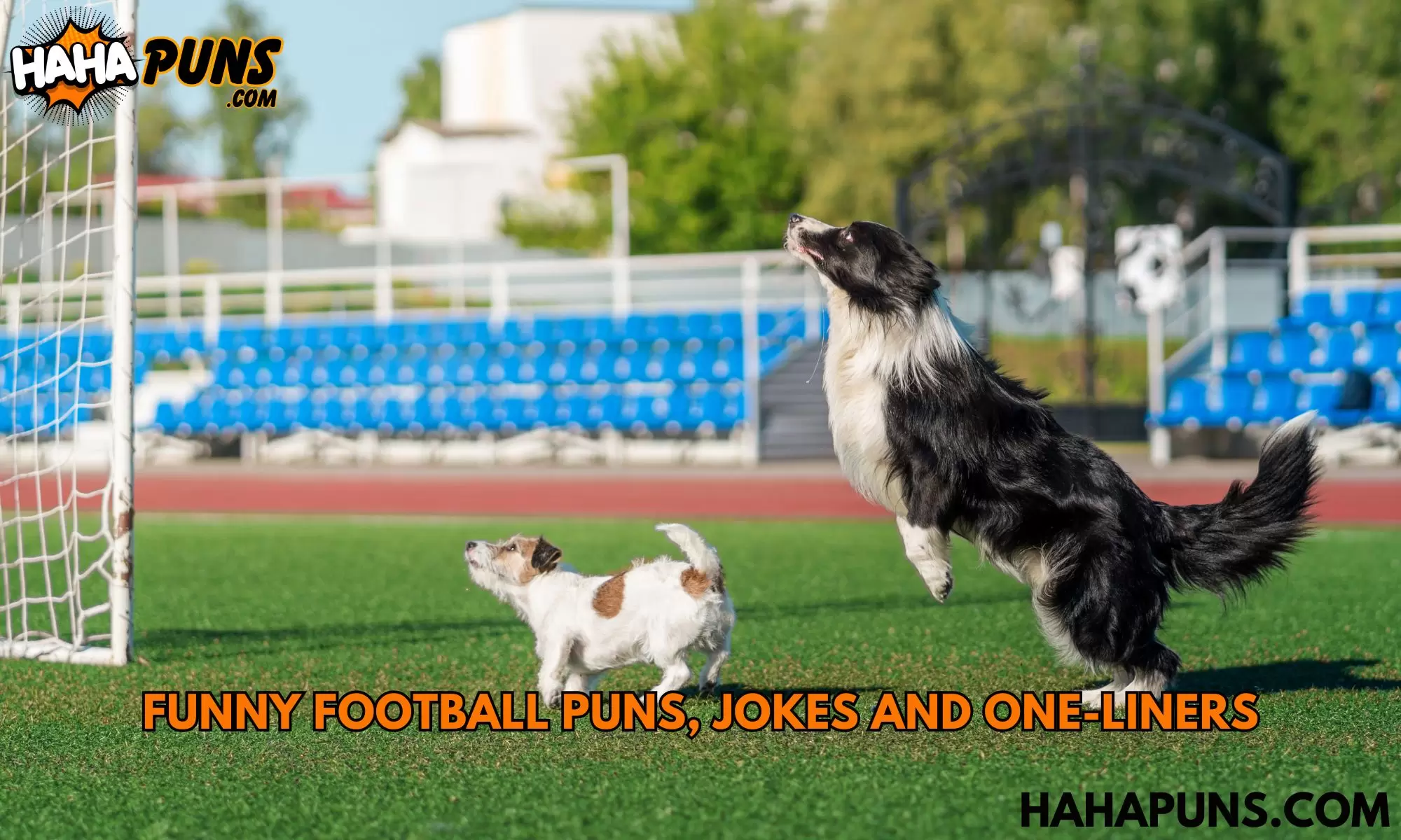 Funny Football Puns, Jokes And One-Liners