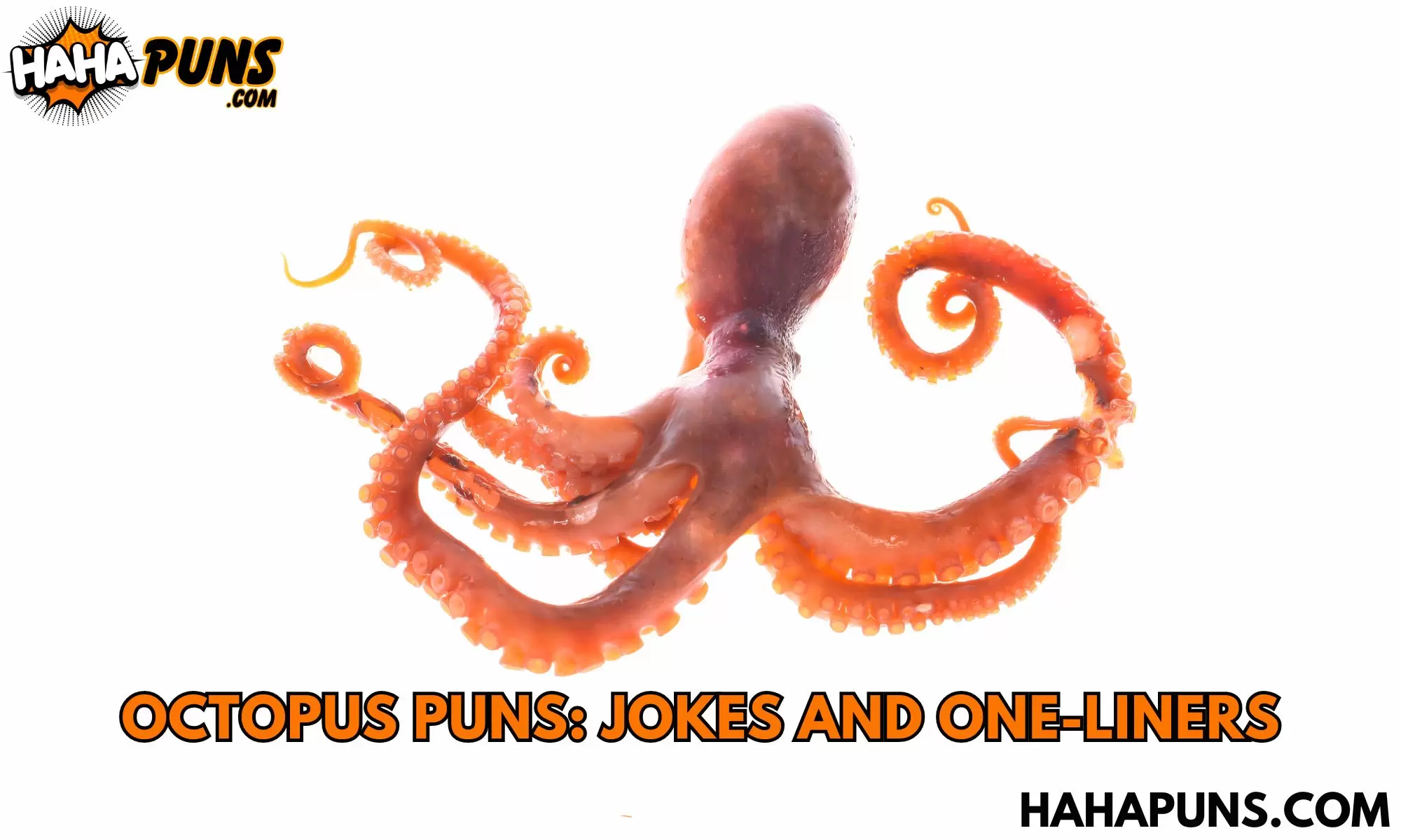 Octopus Puns: Jokes And One-Liners