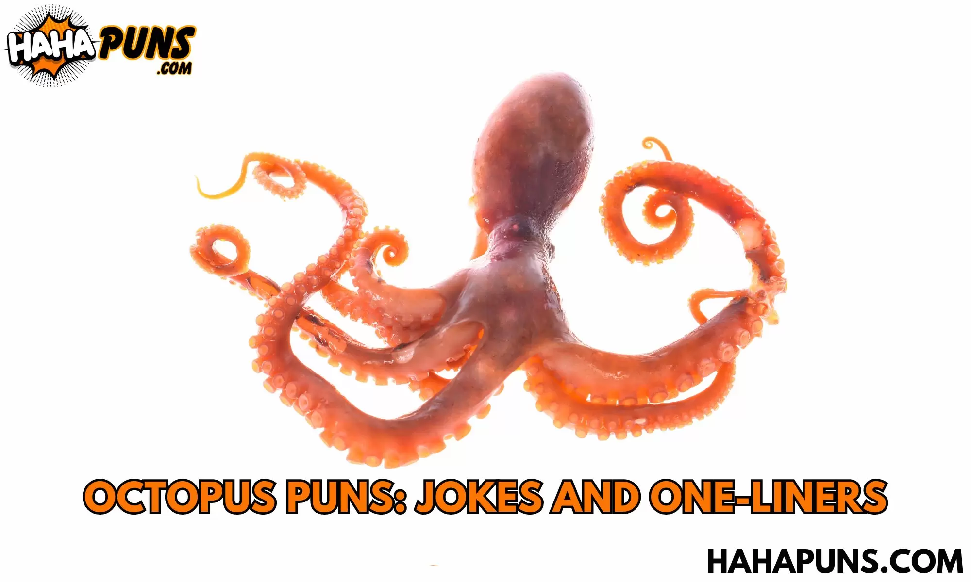 225+ Octopus Puns: Jokes And One-Liners