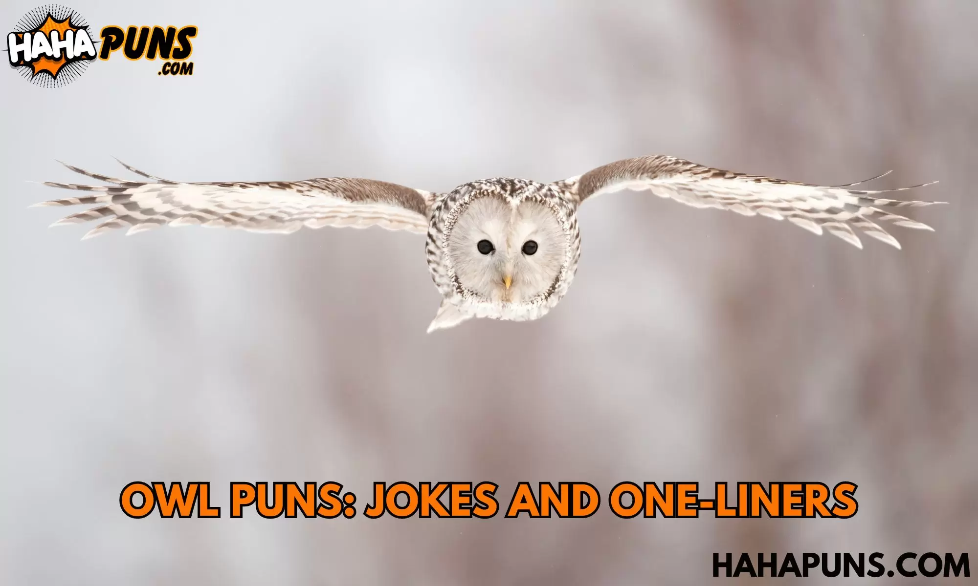 Owl Puns: Jokes And One-Liners