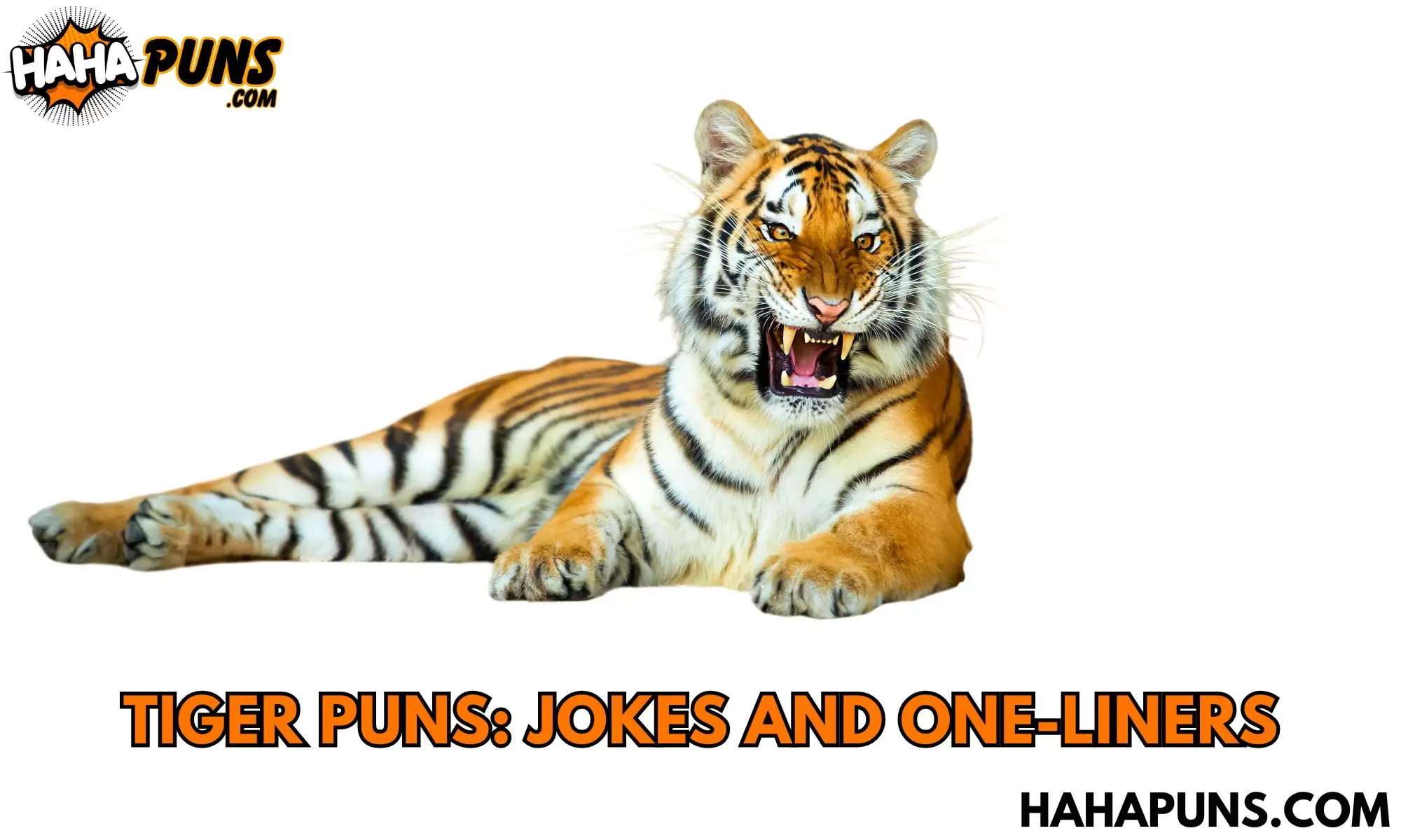 Tiger Puns: Jokes And One-Liners