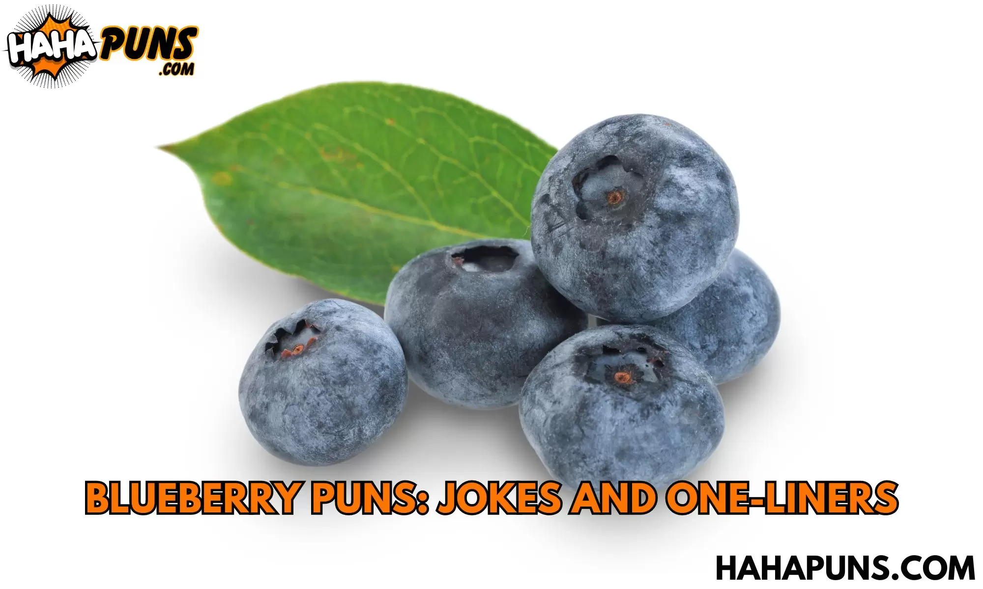 Blueberry Puns: Jokes And One-Liners