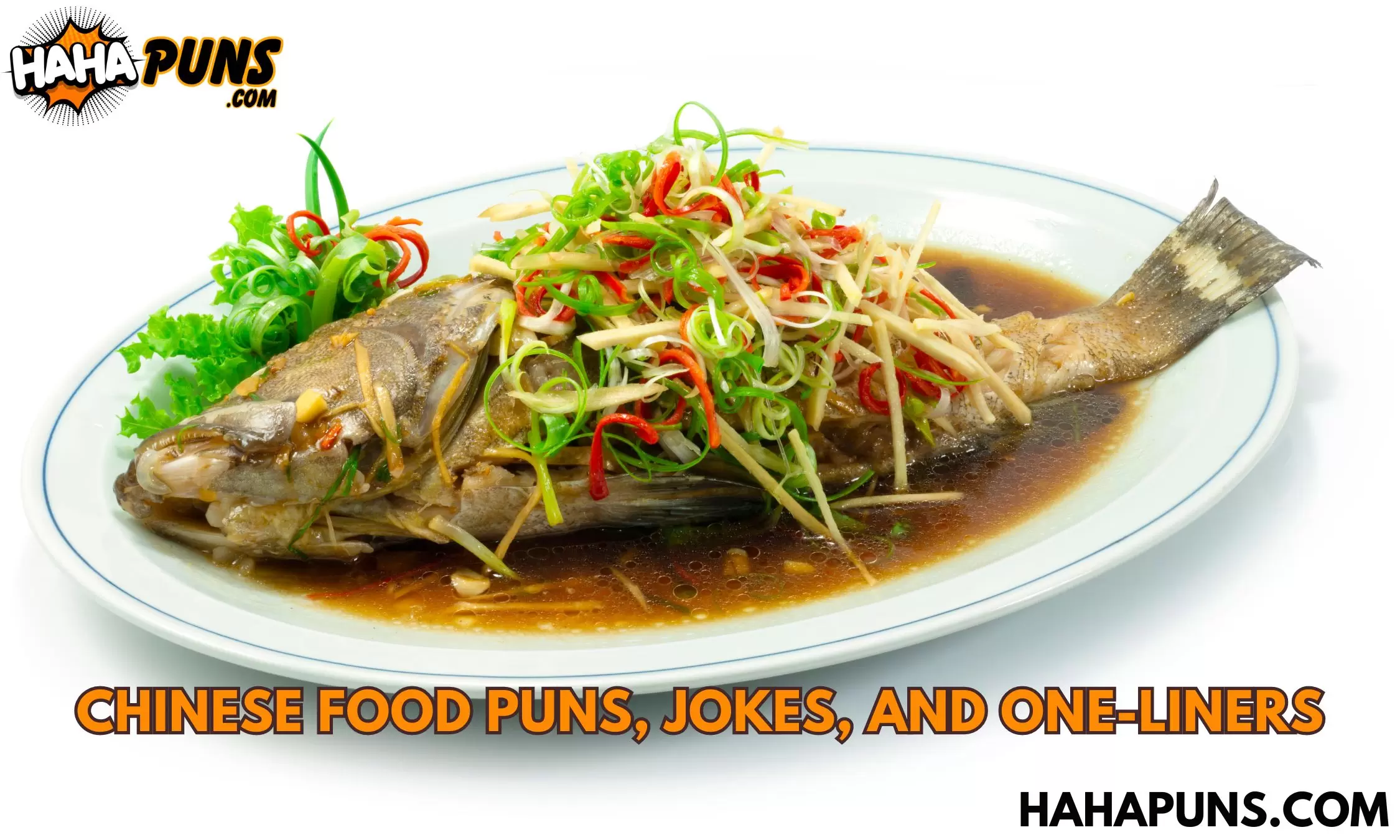 Chinese Food Puns, Jokes, and One-Liners