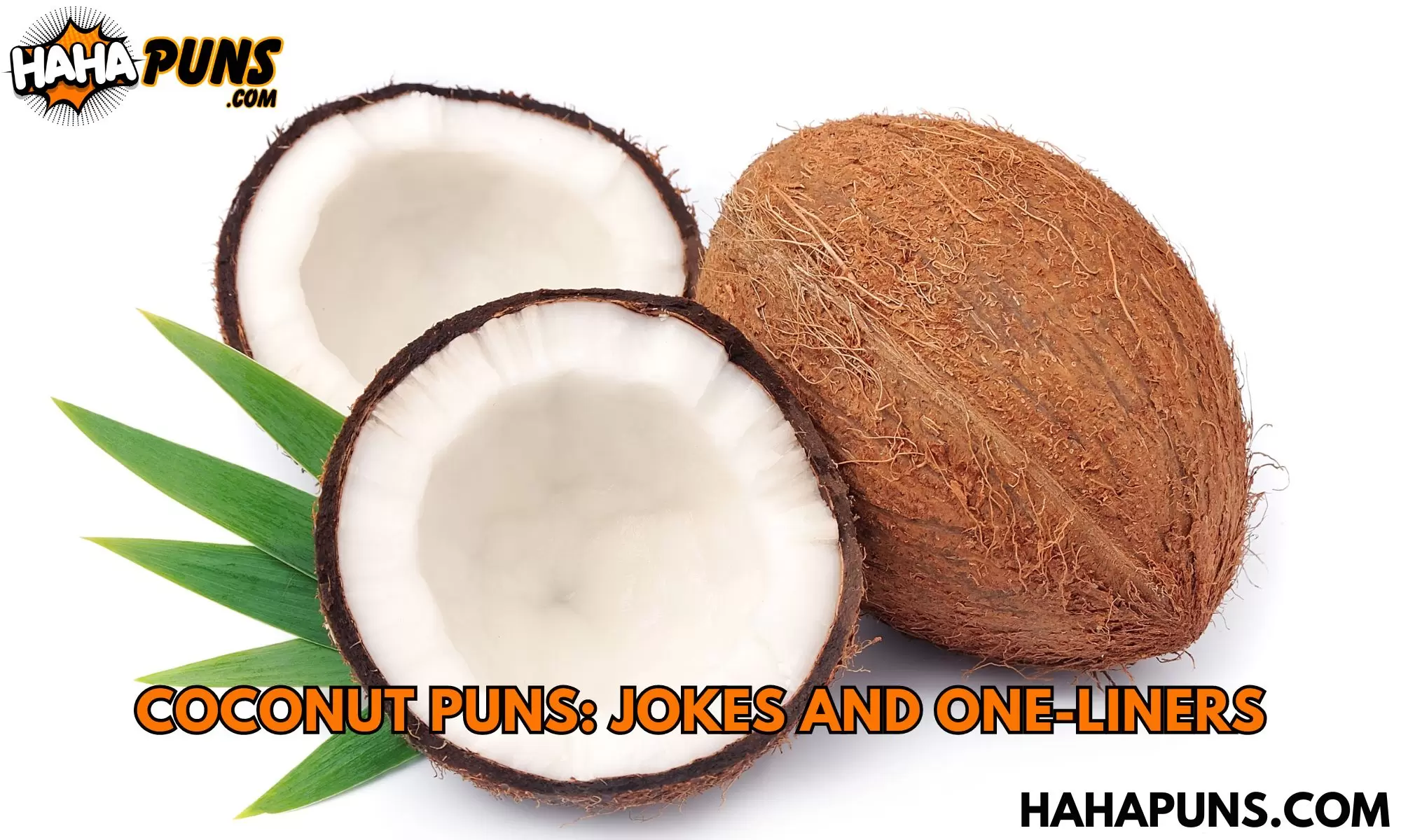 Coconut Puns: Jokes And One-Liners