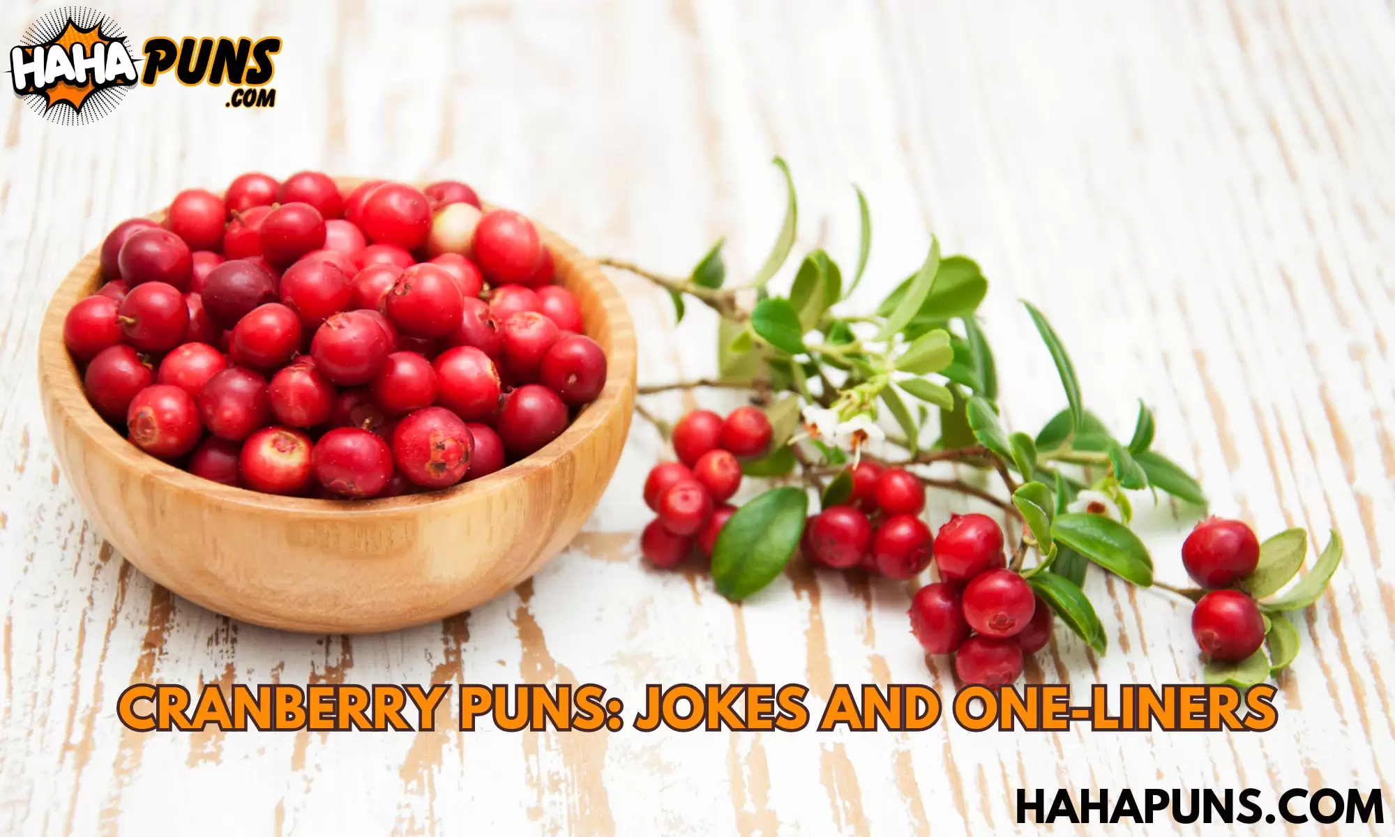 Cranberry Puns: Jokes and One-Liners