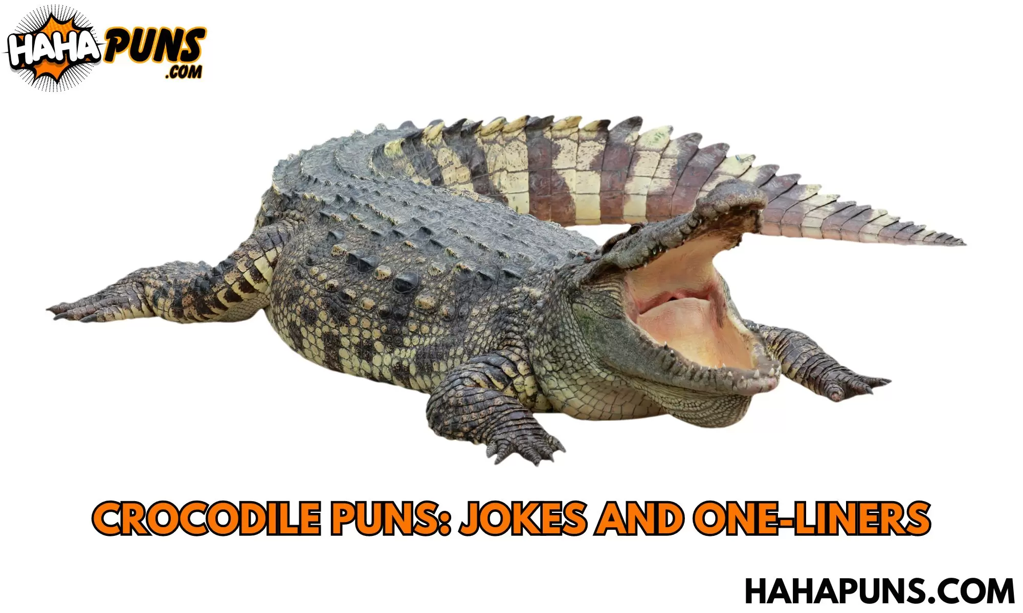 Crocodile Puns: Jokes And One-Liners