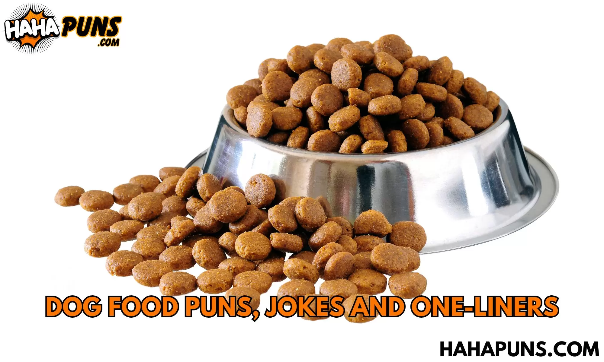 Dog Food Puns, Jokes And One-Liners