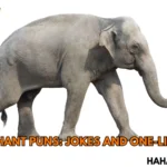 Elephant Puns: Jokes And One-Liners