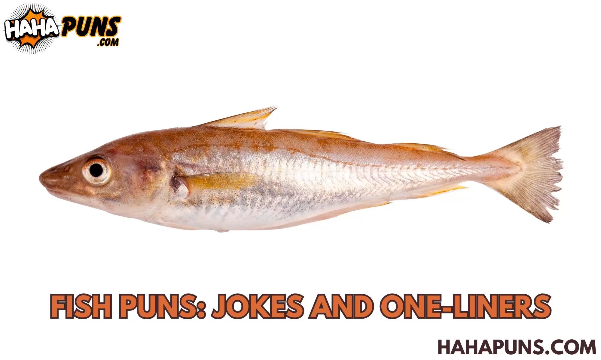 Fish Puns: Jokes And One-Liners