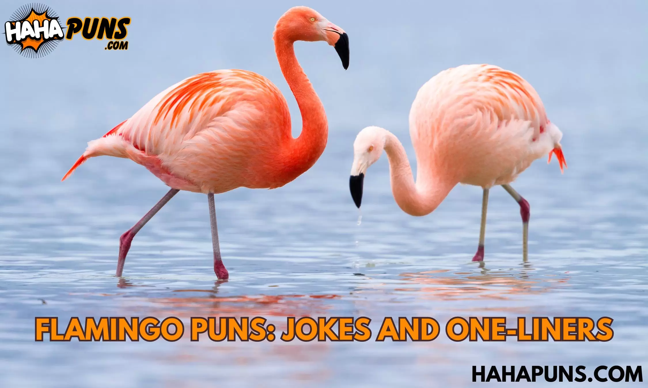 Flamingo Puns: Jokes and One-Liners