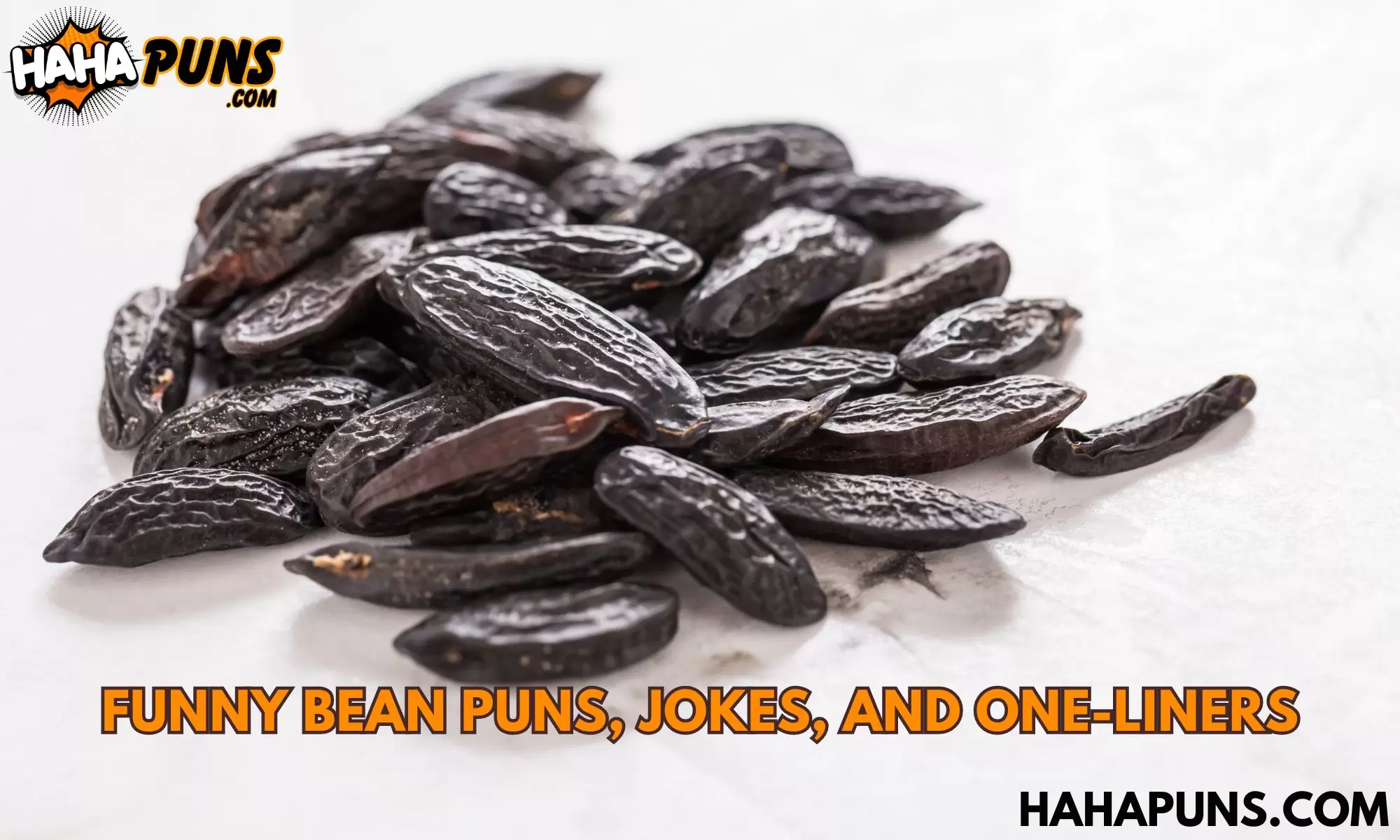 80+ Funny Bean Puns, Jokes, and One-Liners