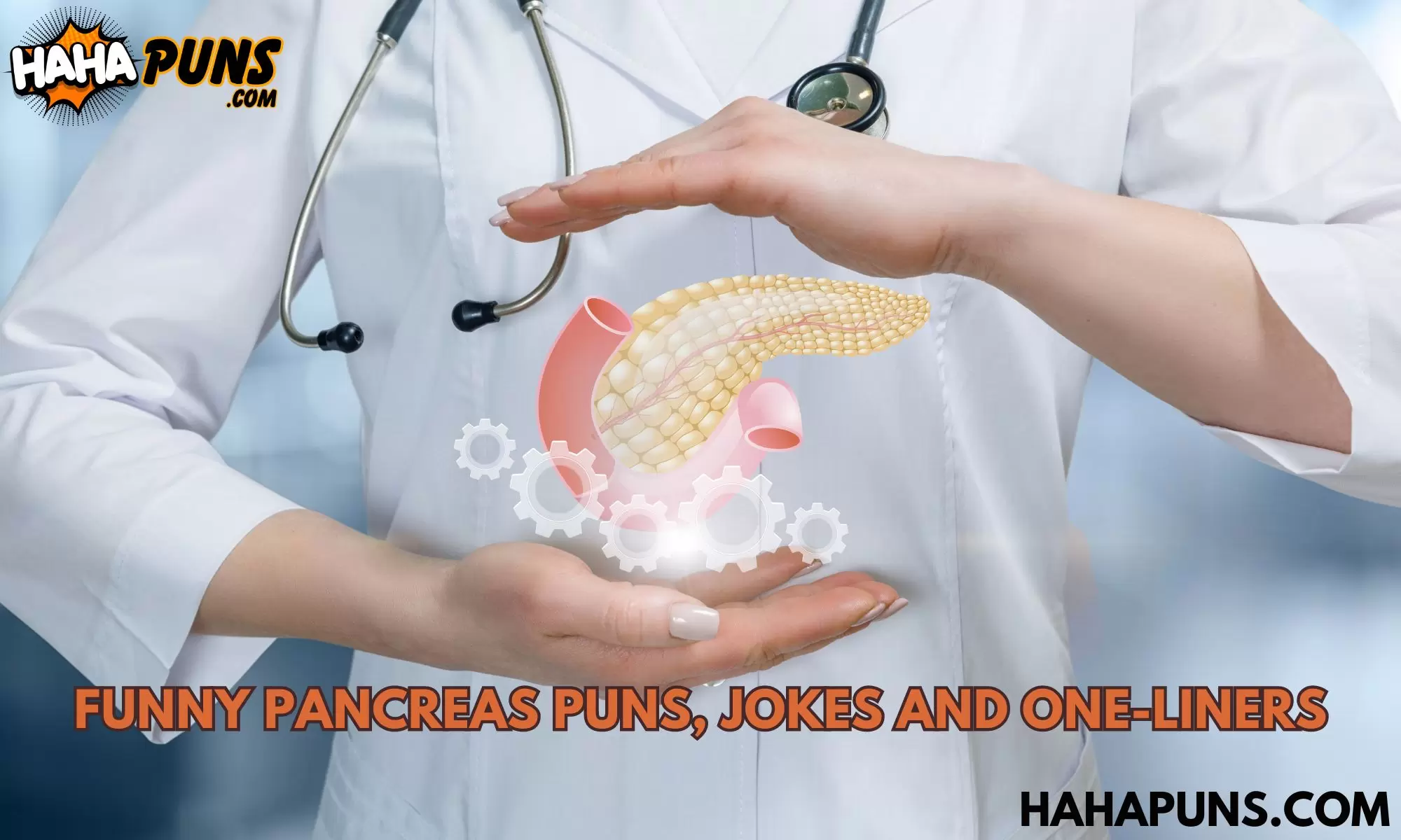 Funny Pancreas Puns, Jokes And One-Liners