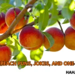 Funny Peach Puns, Jokes, and One-Liners