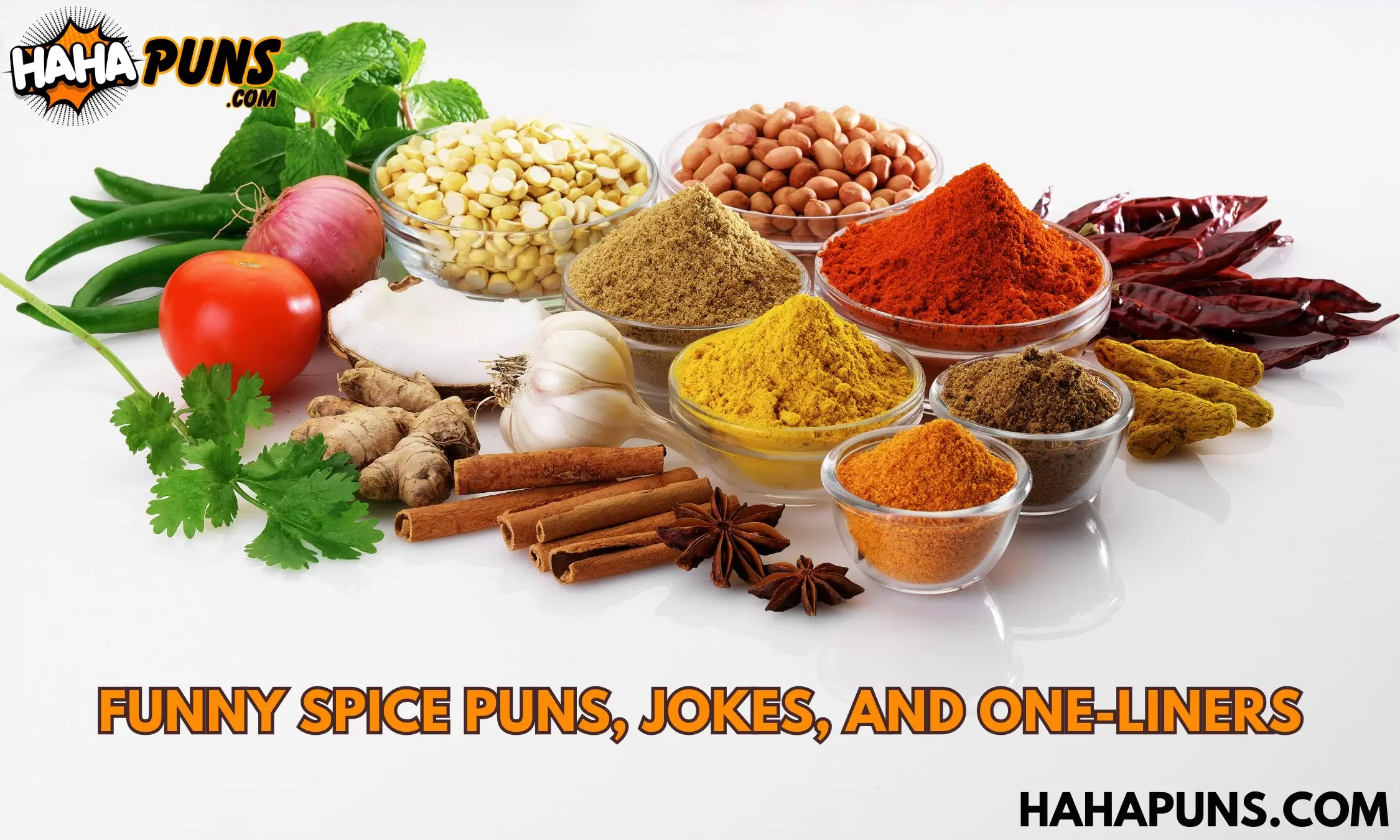 Funny Spice Puns, Jokes, and One-Liners