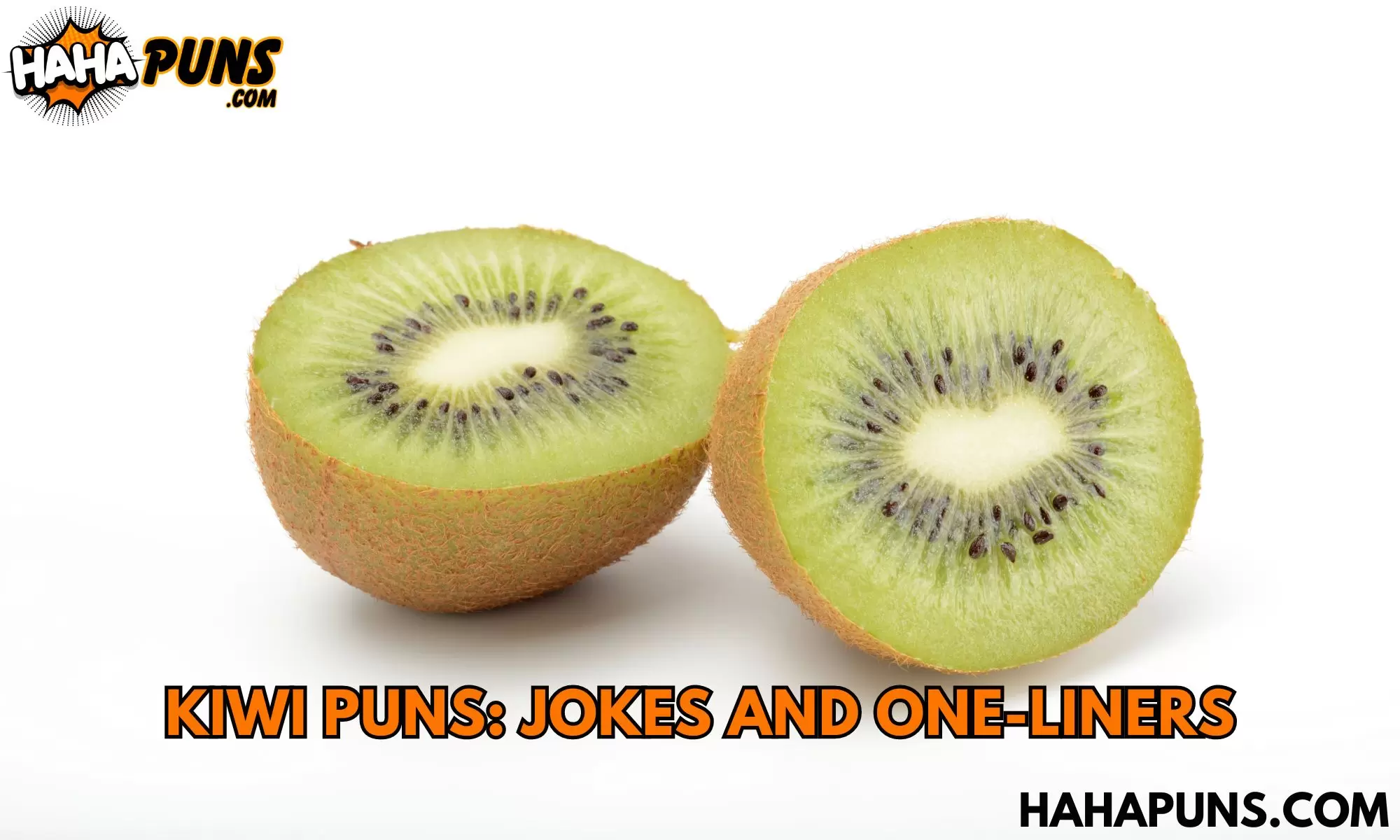 Kiwi Puns: Jokes And One-Liners