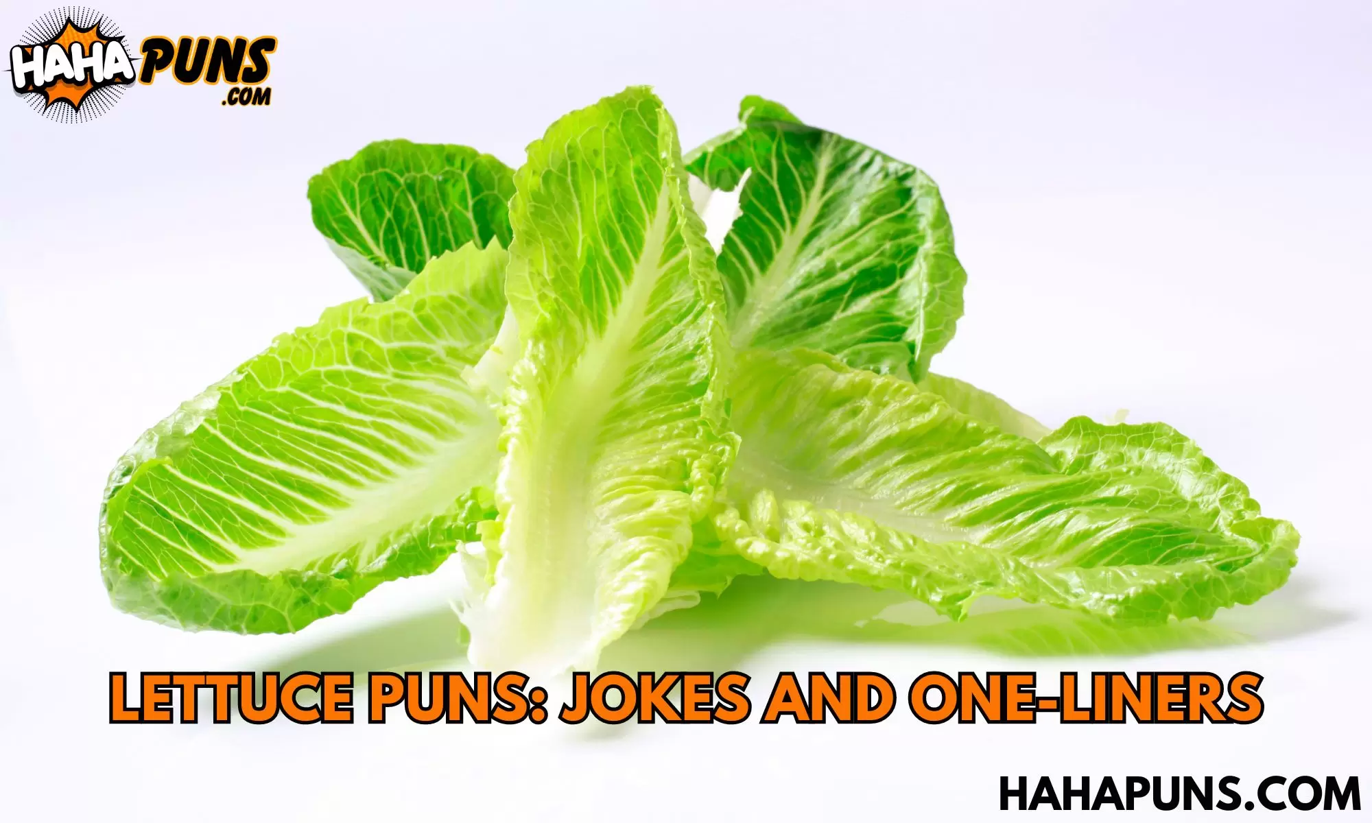 Lettuce Puns: Jokes And One-Liners