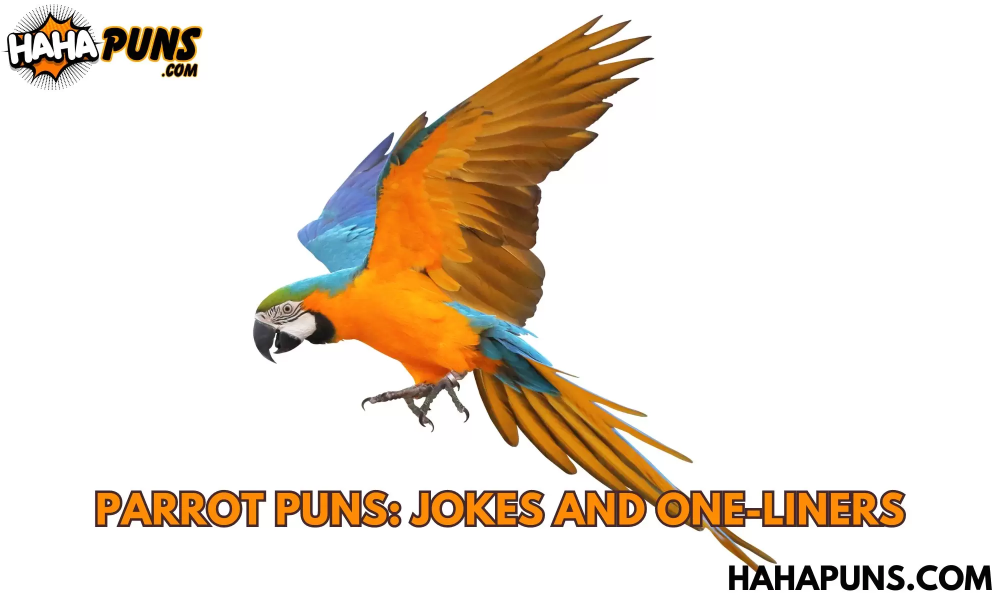 Parrot Puns: Jokes And One-Liners